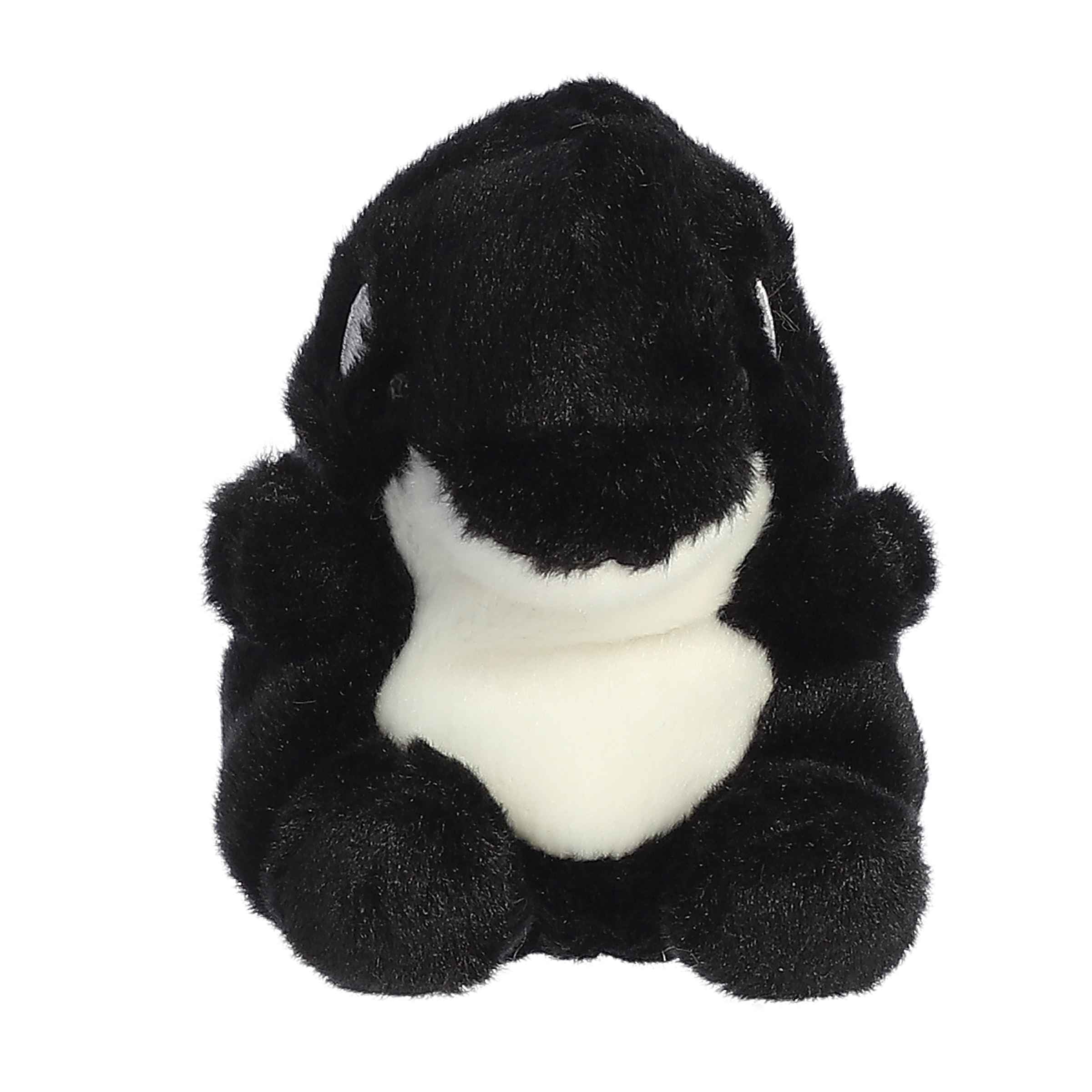Palm Pals - Majestic Juneau Orca - Plush – Palm Pals™