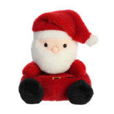 Papá Noel™