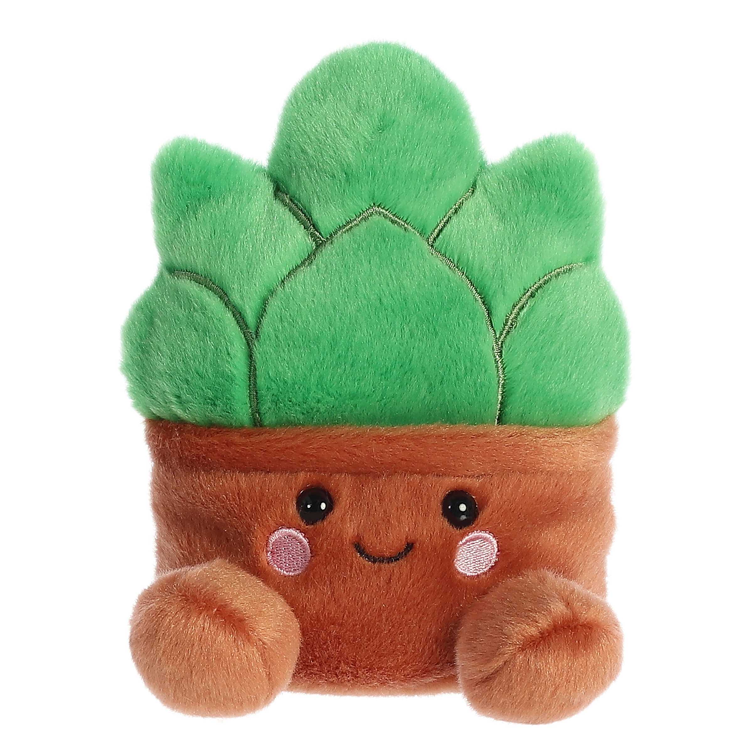 plush succulent plant Palm Pals
