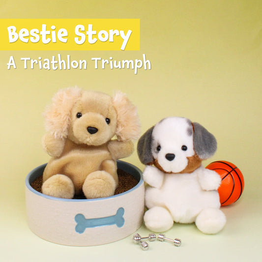 Palm Pals Stories -  A Triathlon Triumph - Oatmeal Goldendoodle & Sydney Aussie