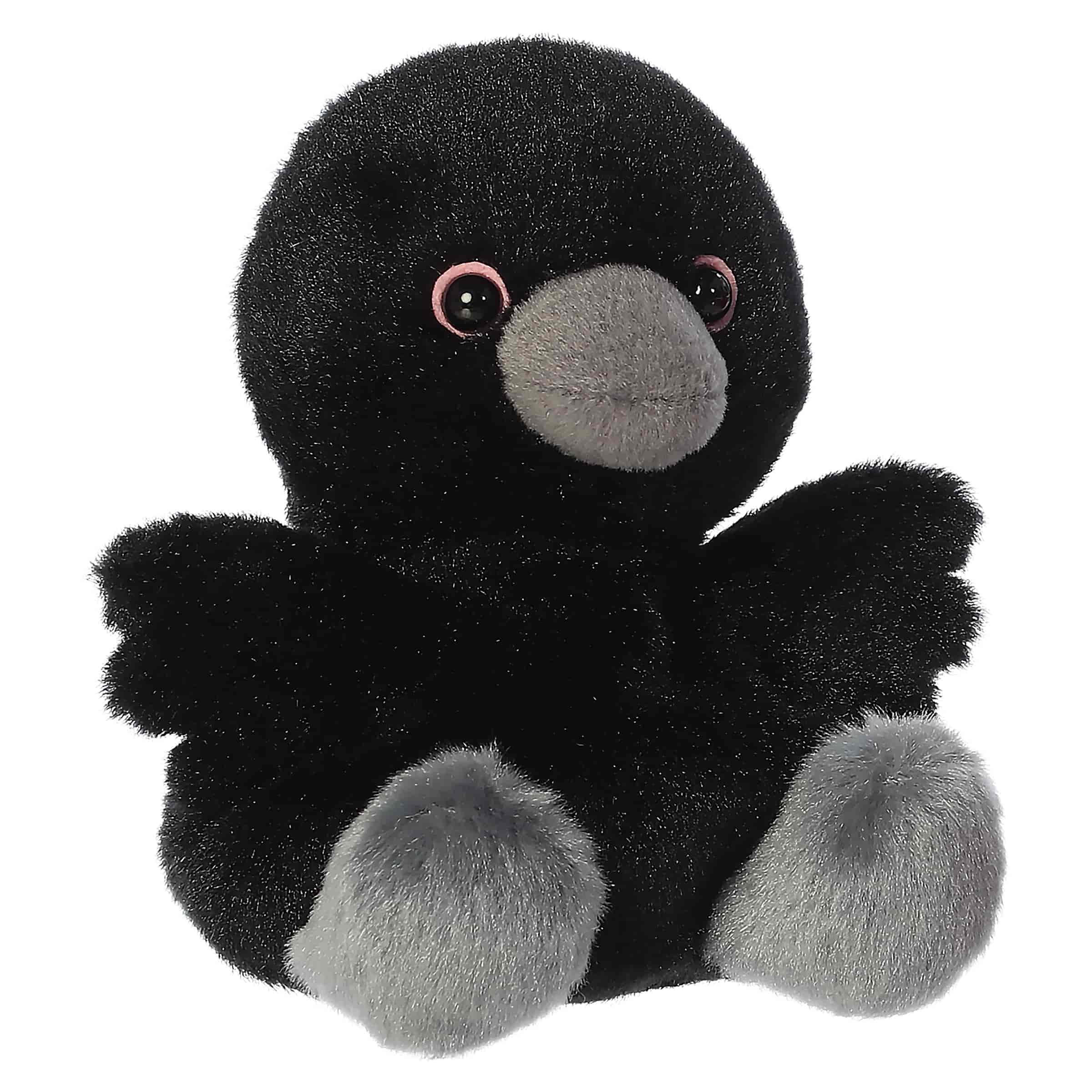 Poe Raven™
