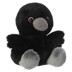 Poe Raven™