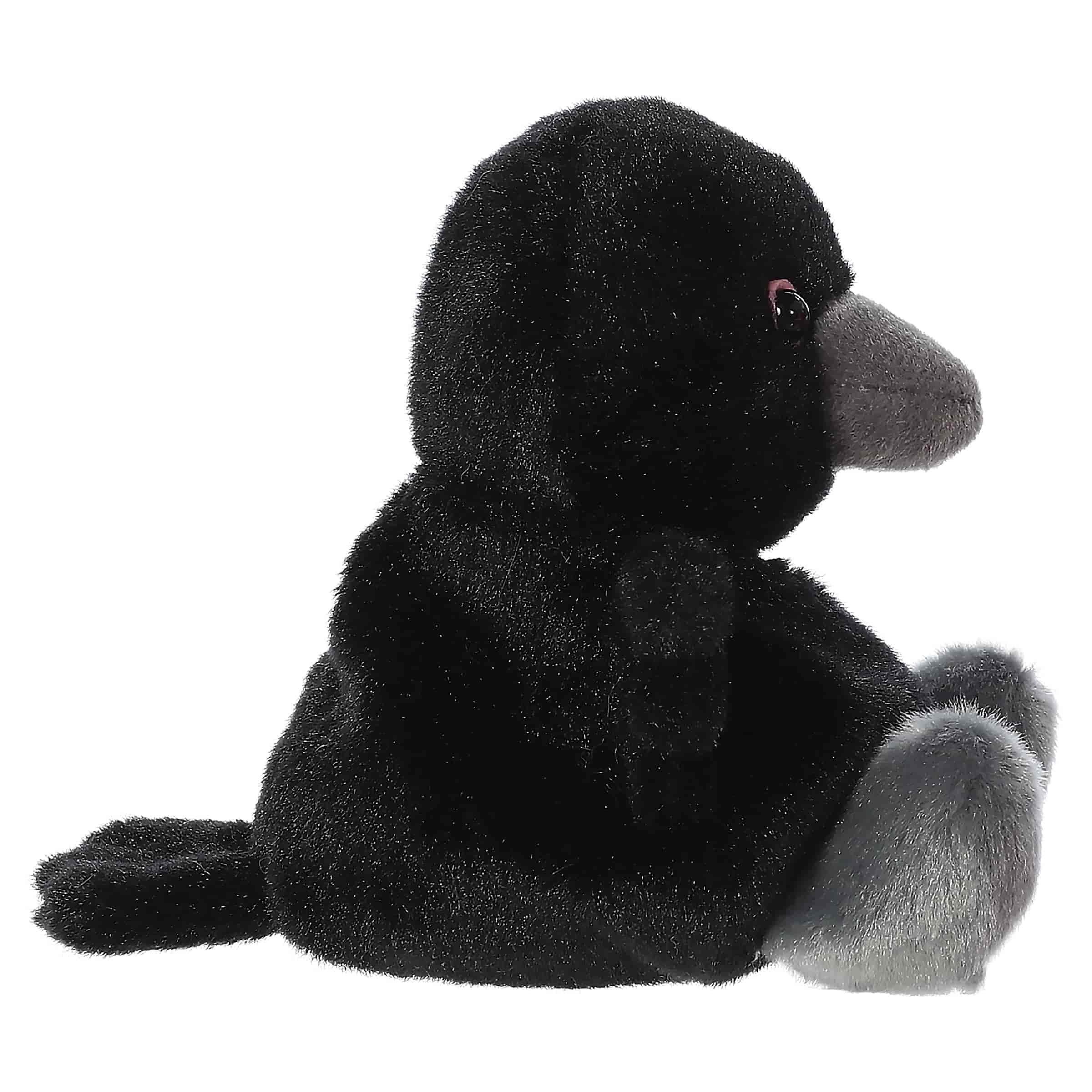 Poe Raven™