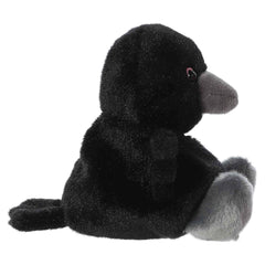 Poe Raven™
