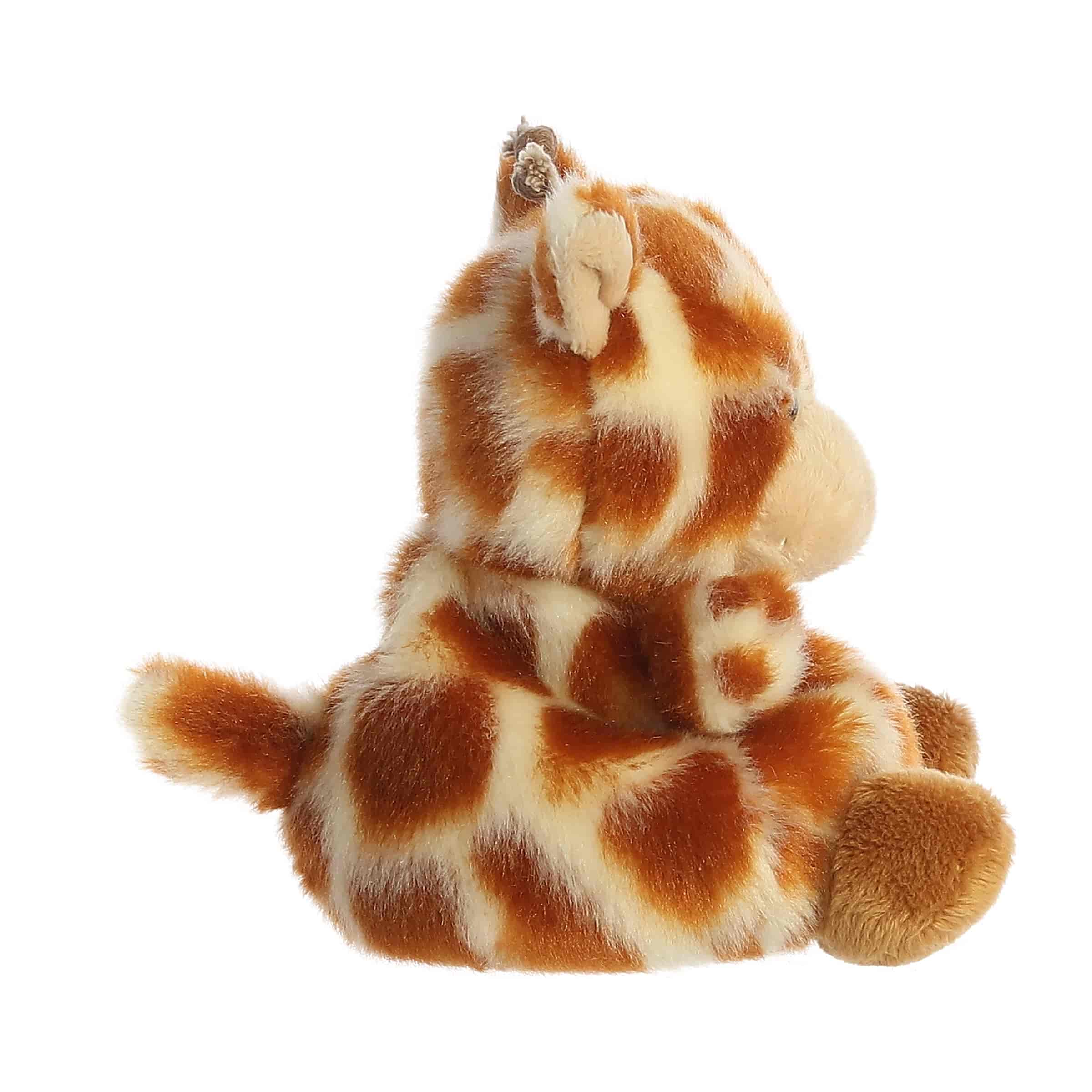 Safara Giraffe™