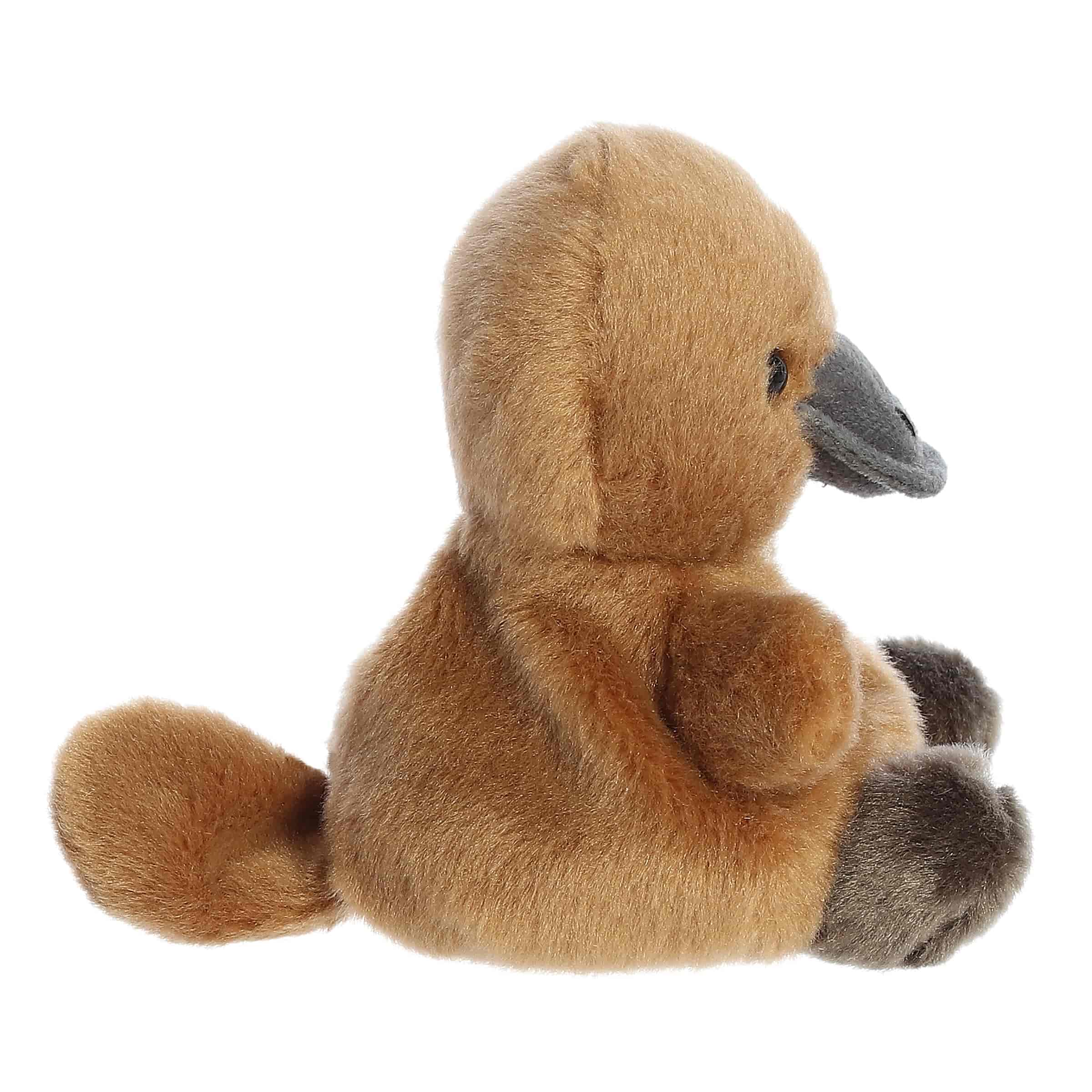 Patty Platypus™