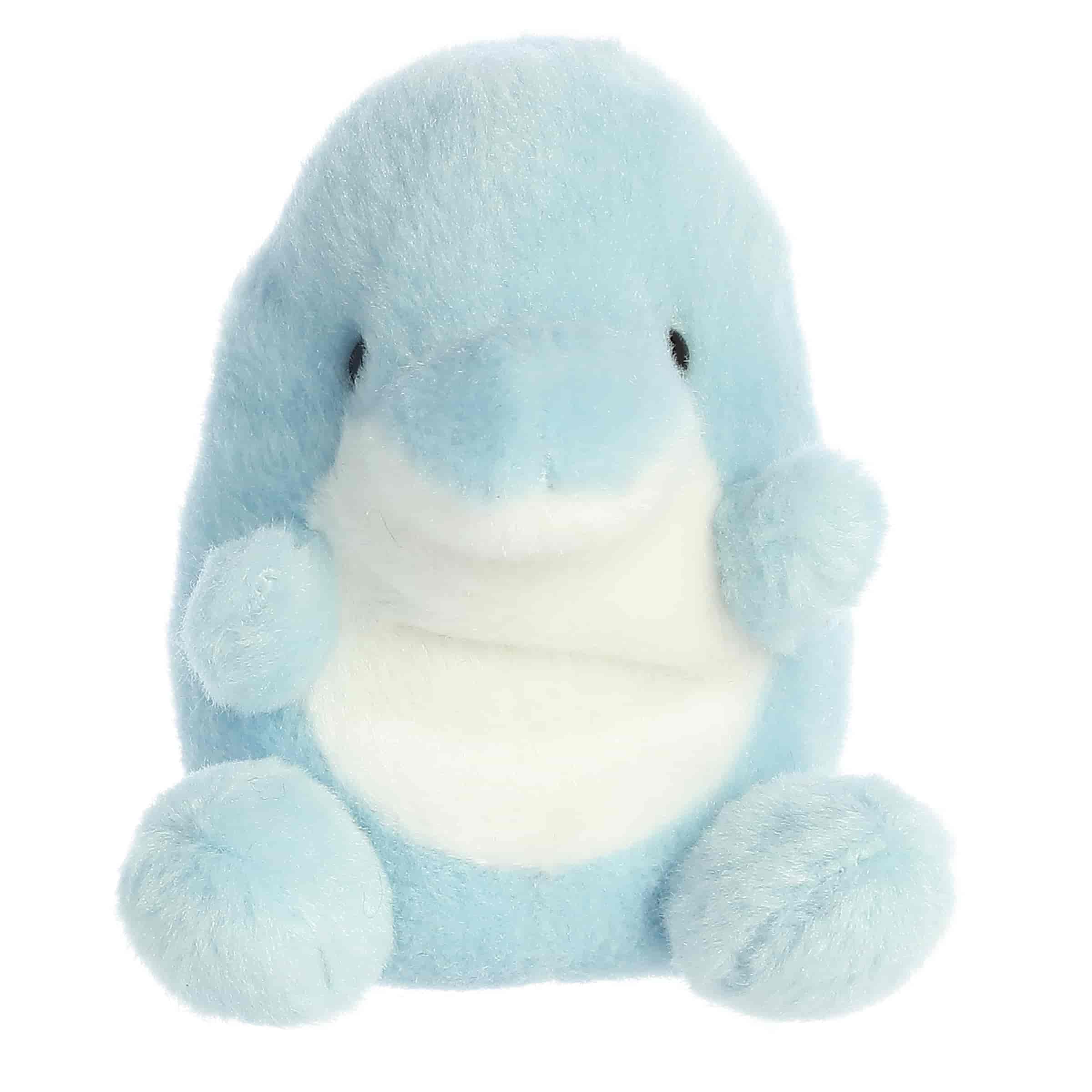 Clicks Dolphin™