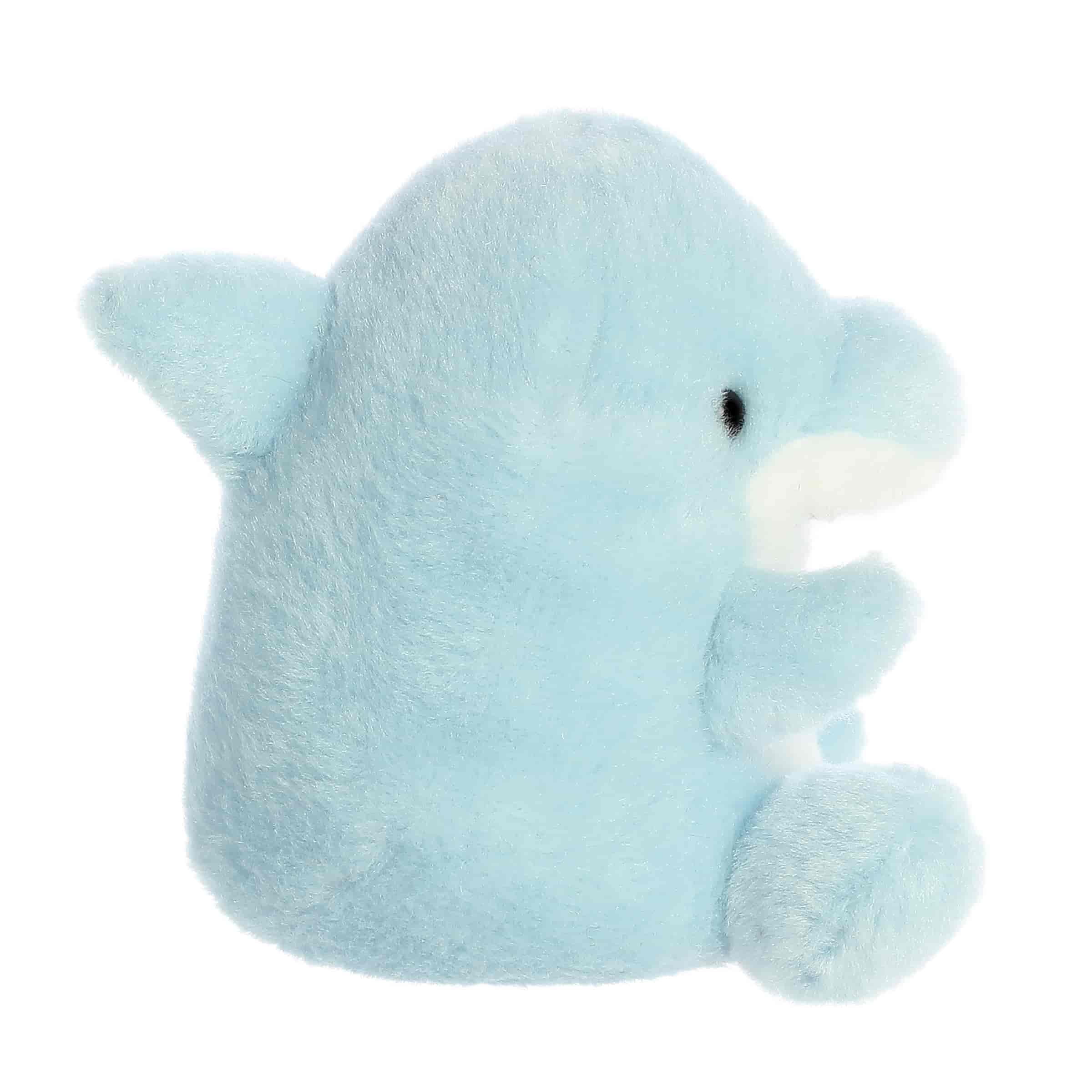 Clicks Dolphin™