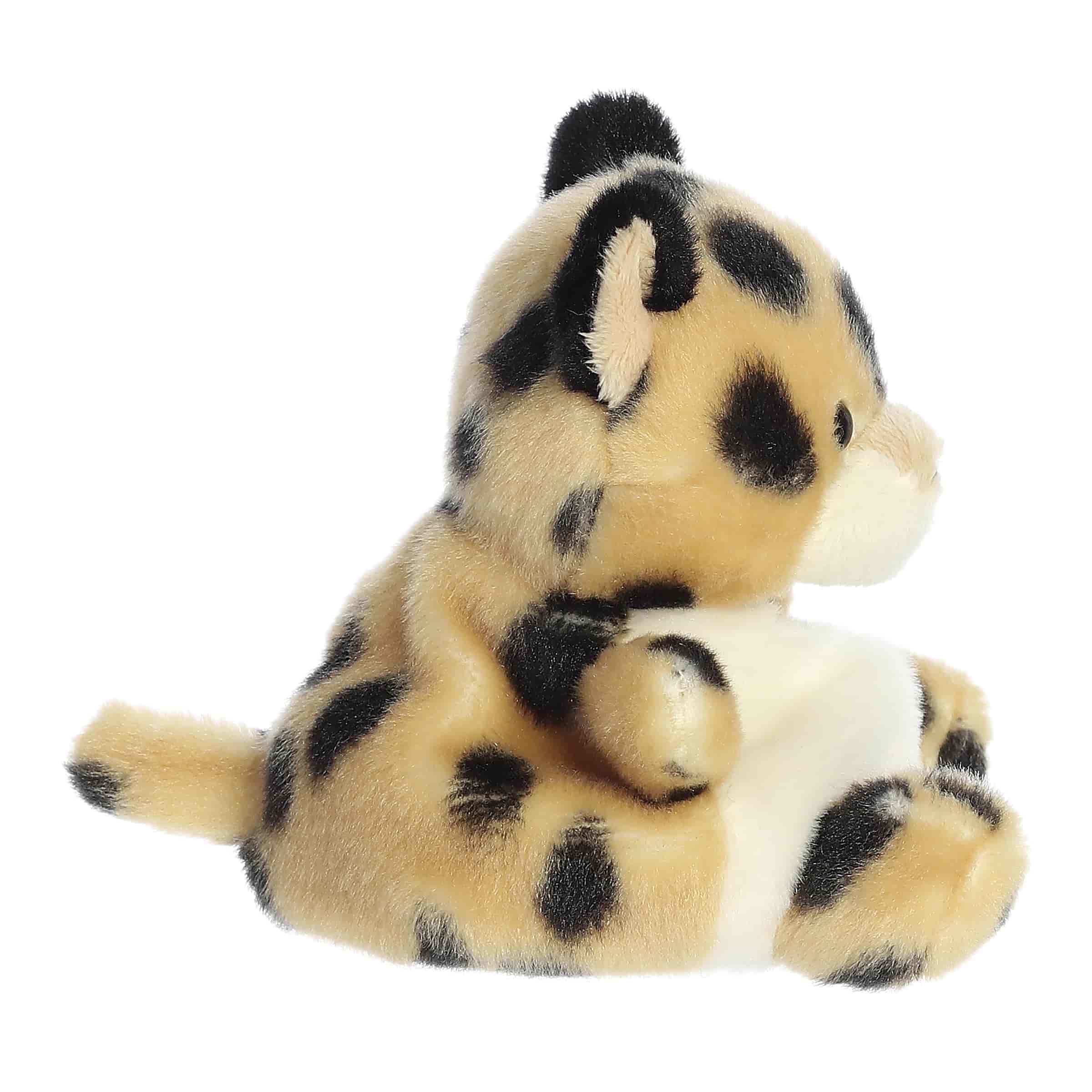 Chutney Cheetah™