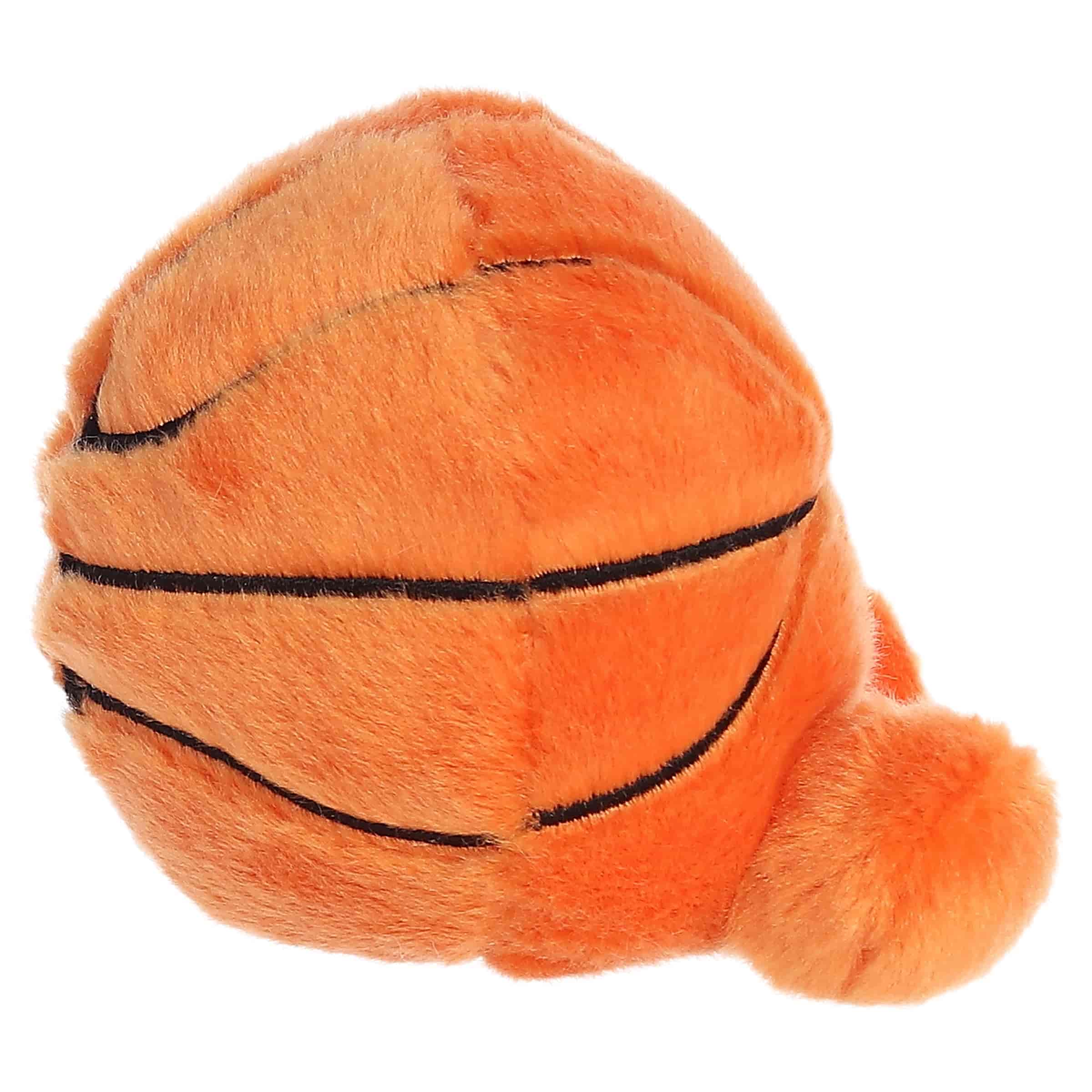 Hoops Basketball™