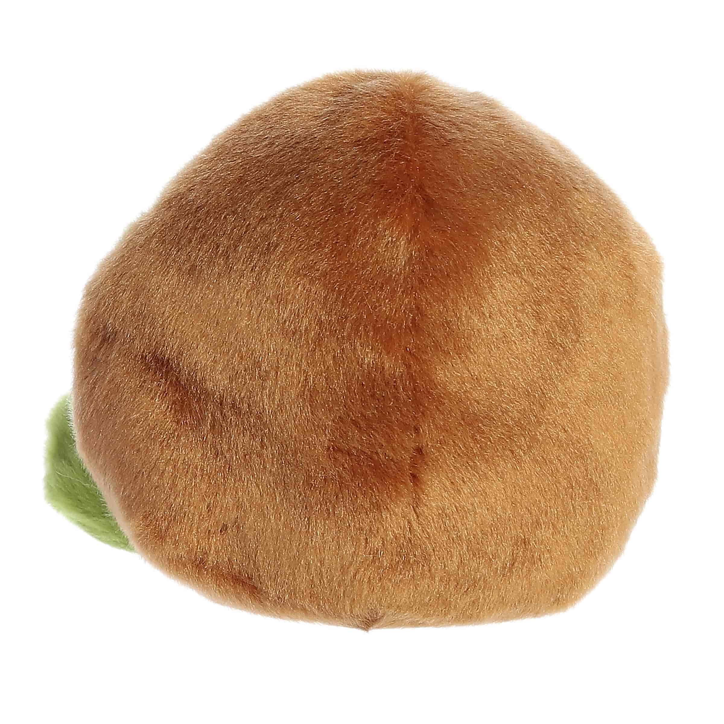 Kimber Kiwi™