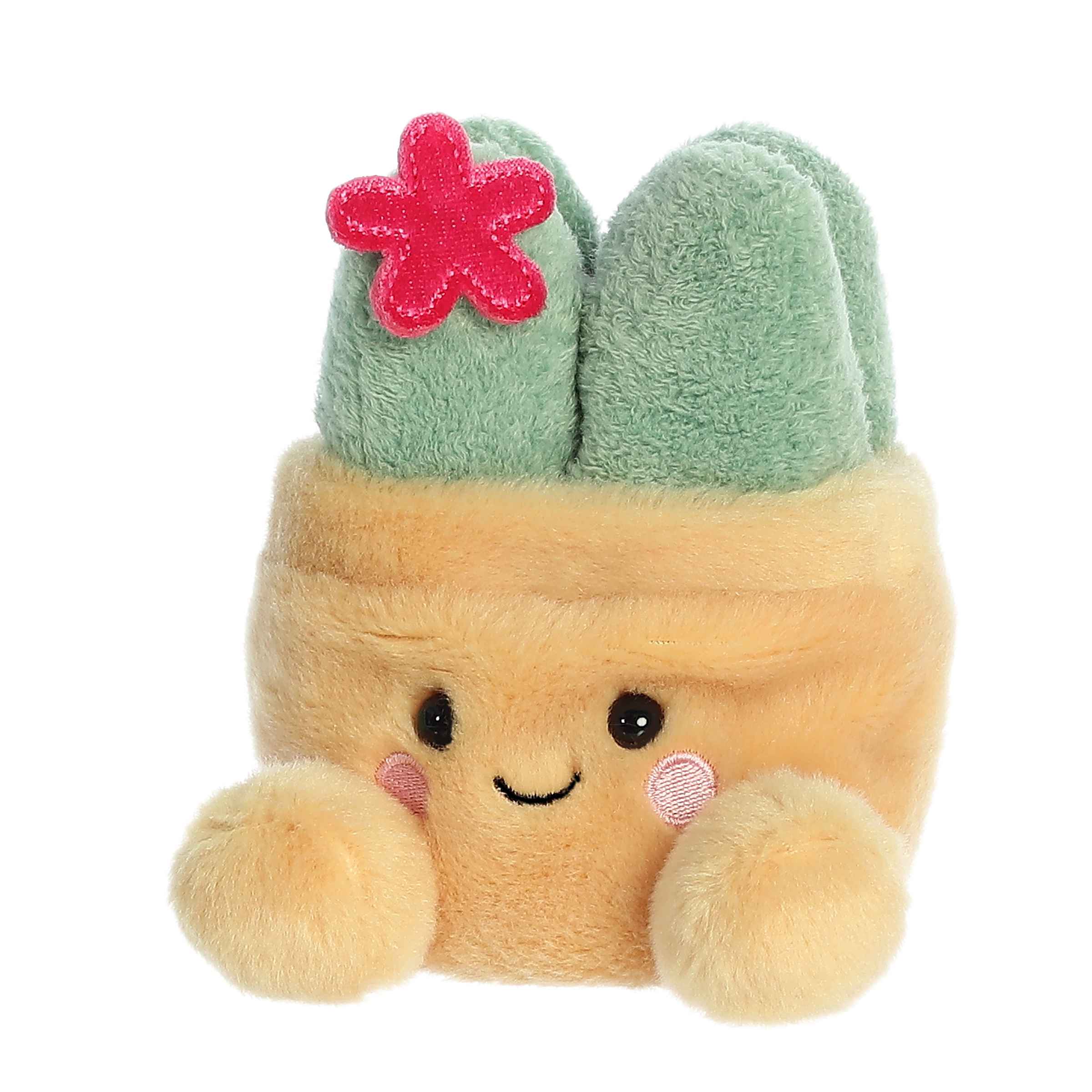 sunny succulents plush Seyla Succulent Palm Pals