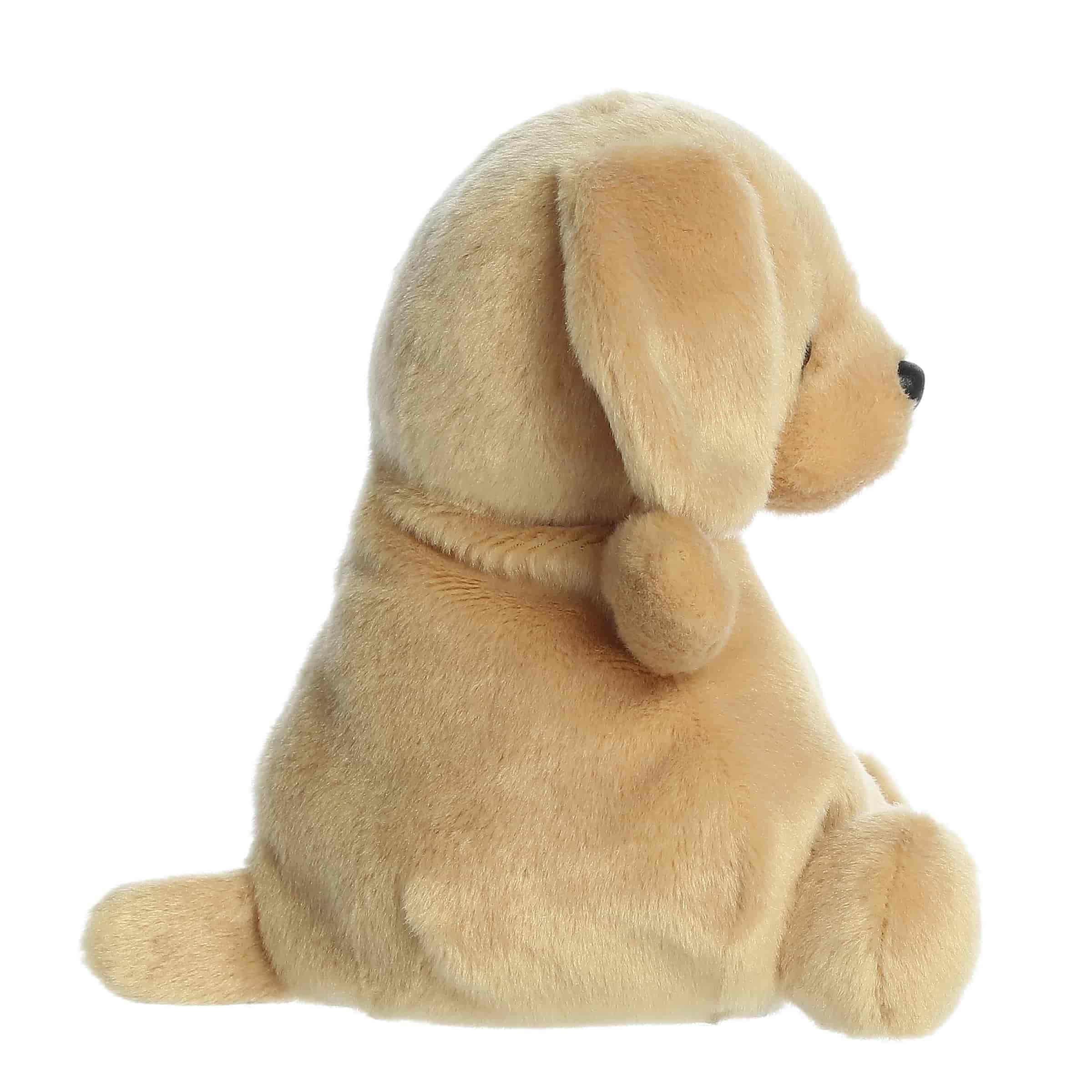 Sunny Lab™