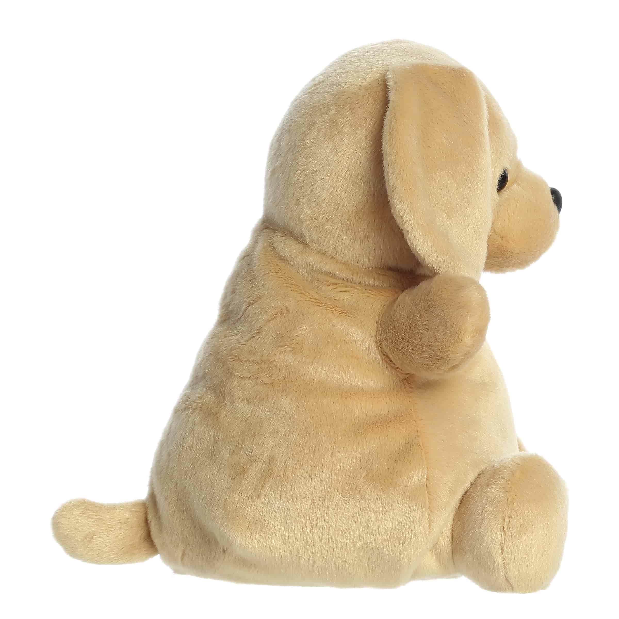 Sunny Lab™