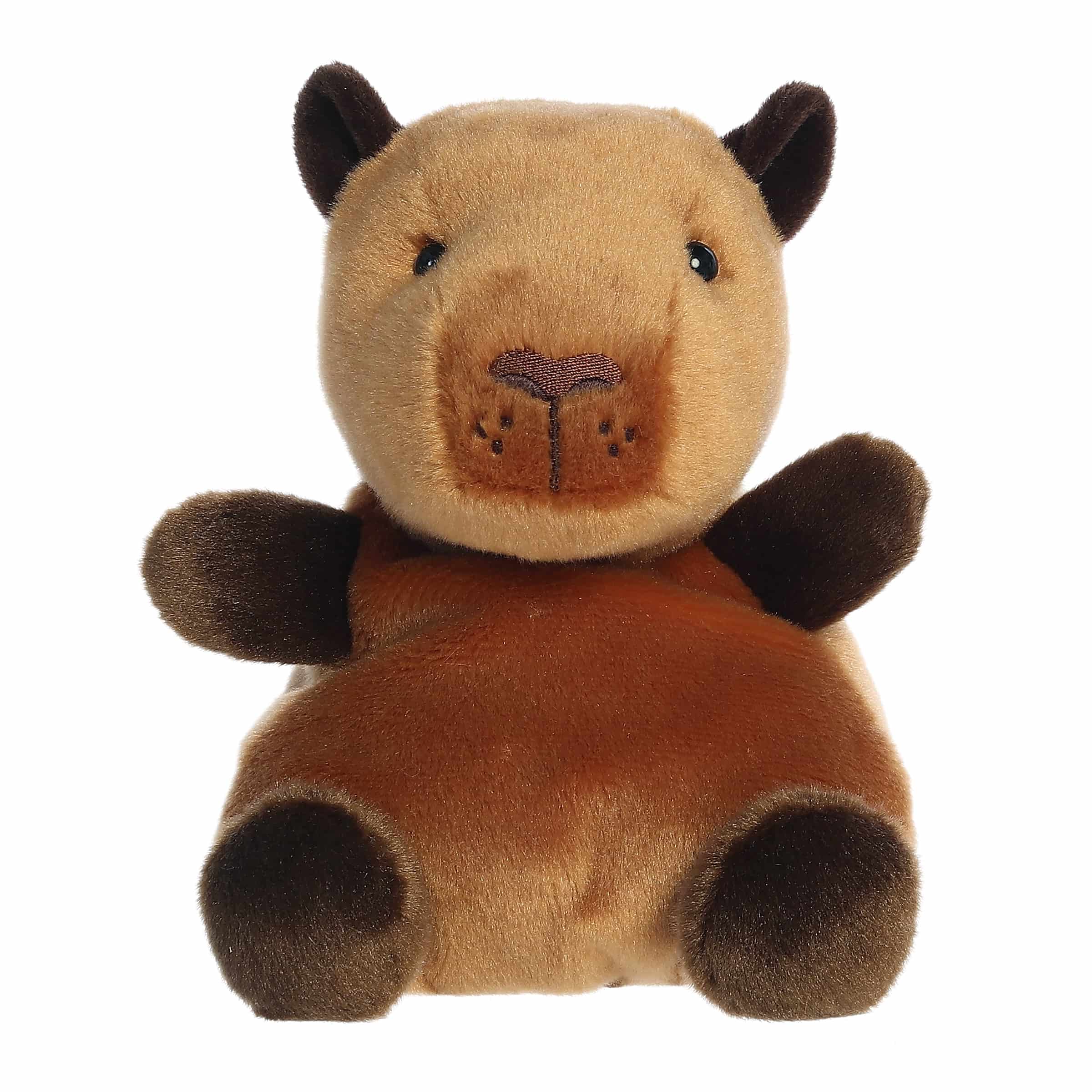 Sid Capybara™