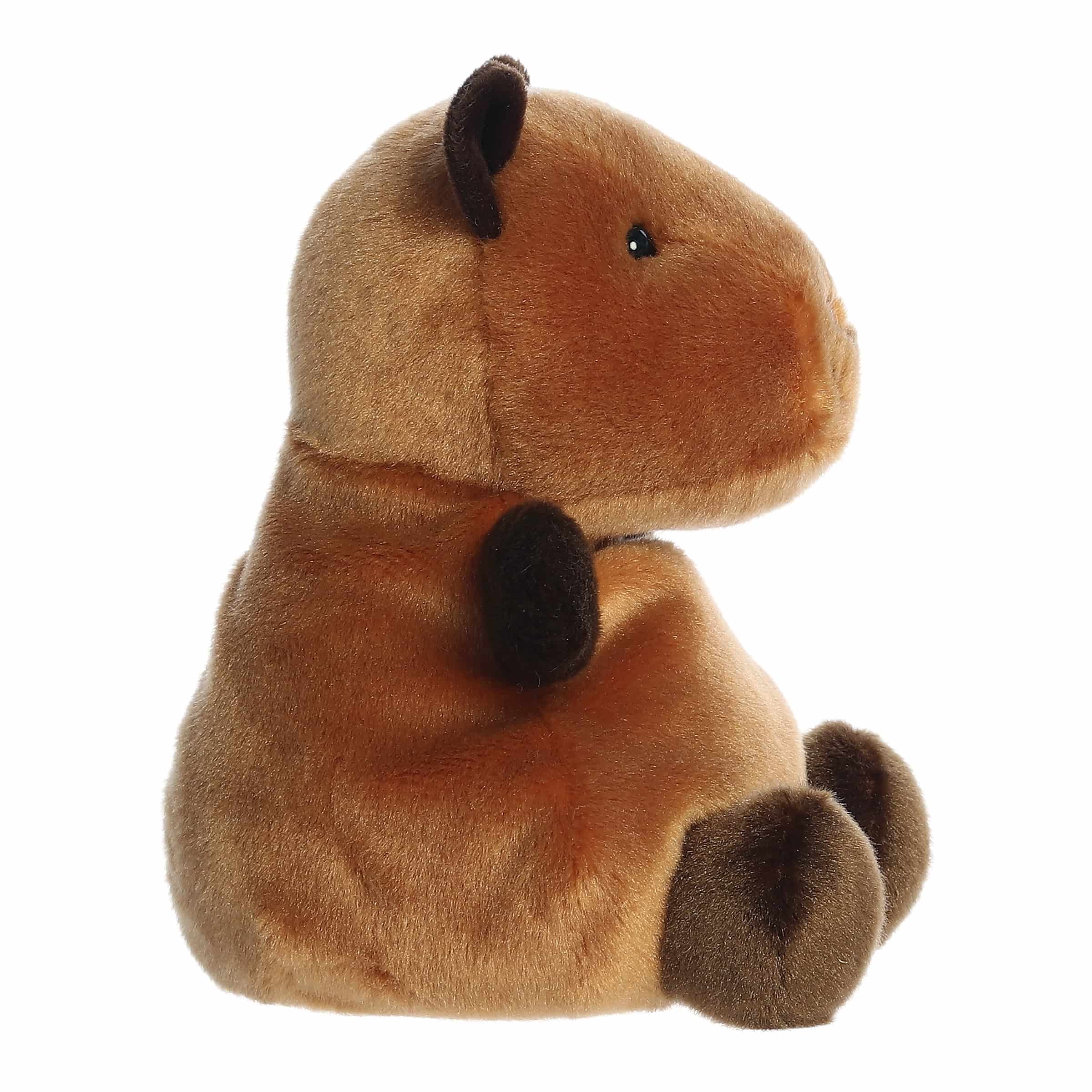 Sid Capybara™