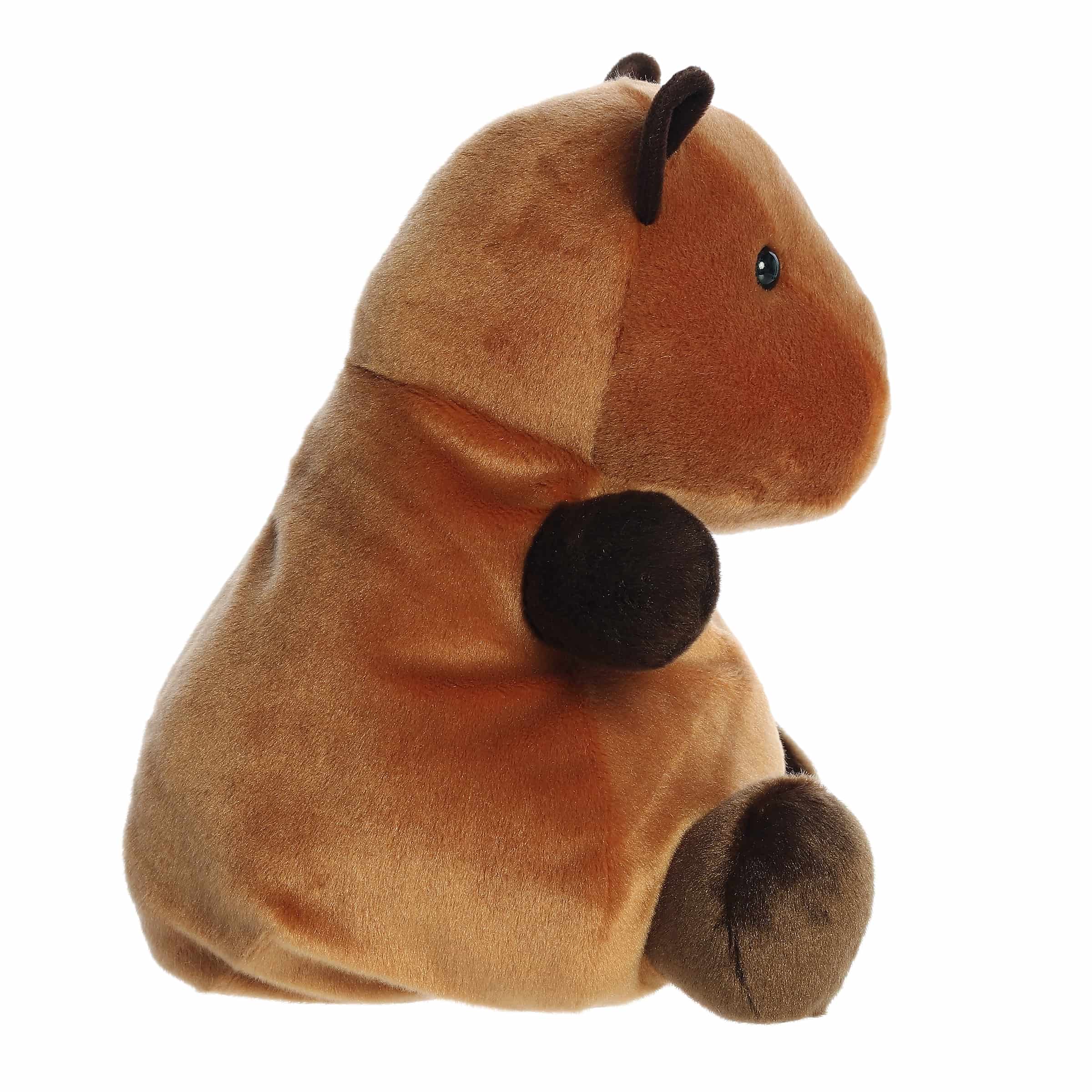 Sid Capybara™