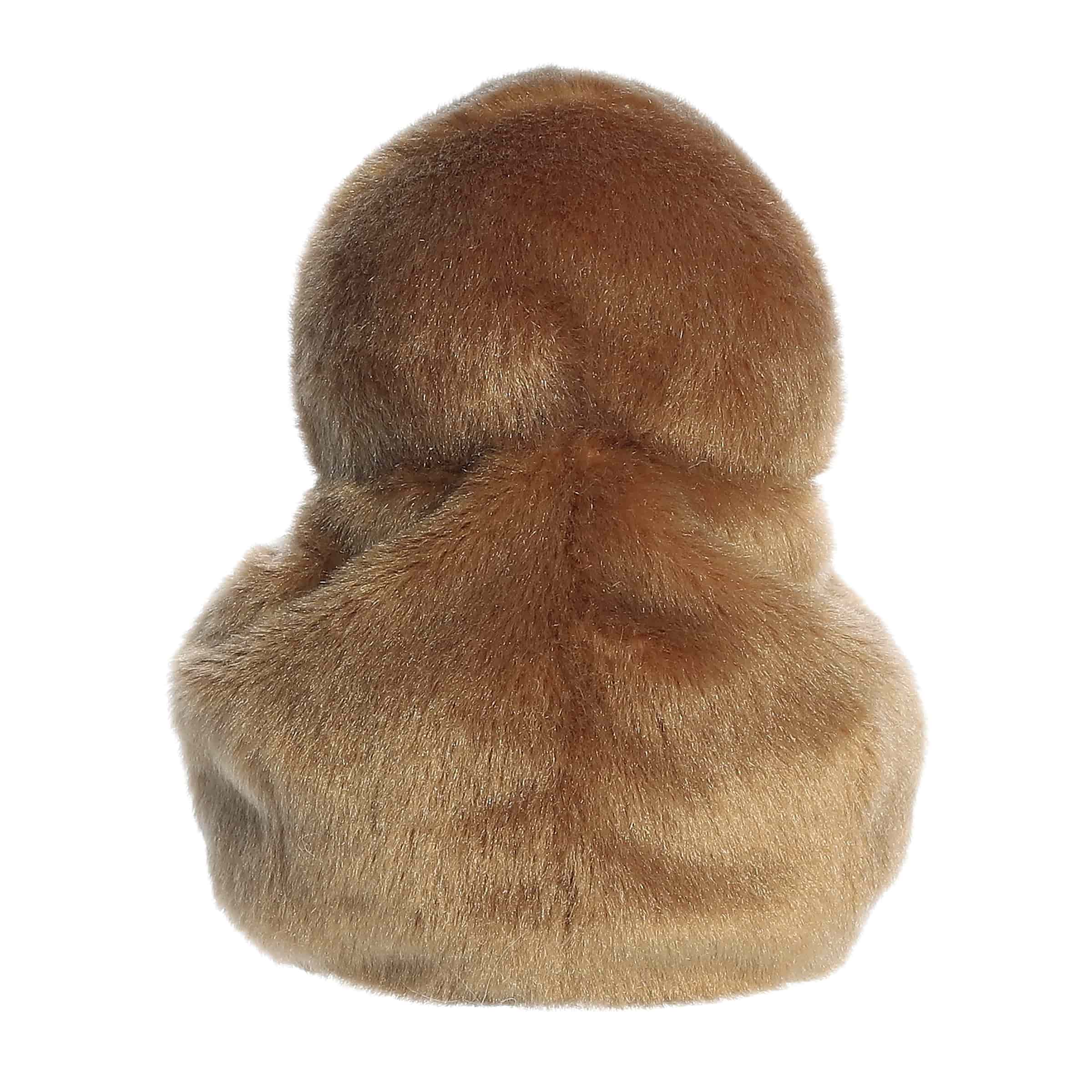 Kiri Kiwi™