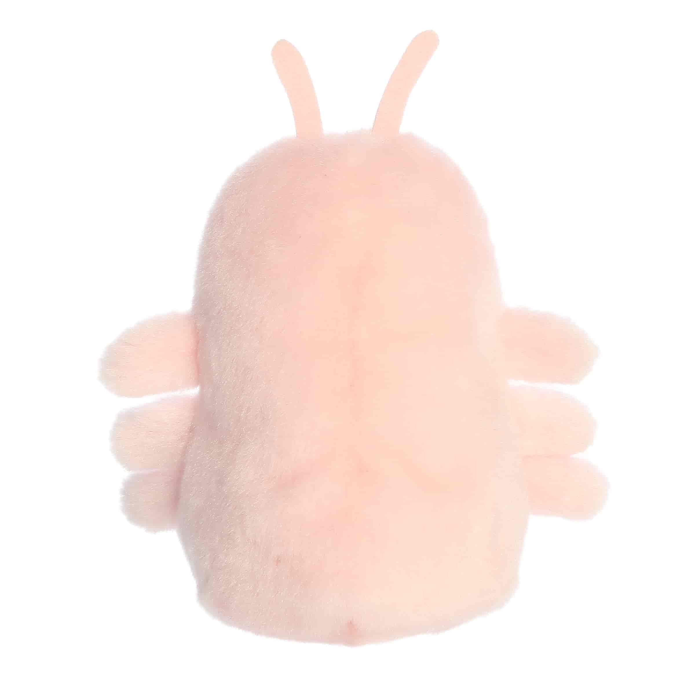 Augustin Shrimp™