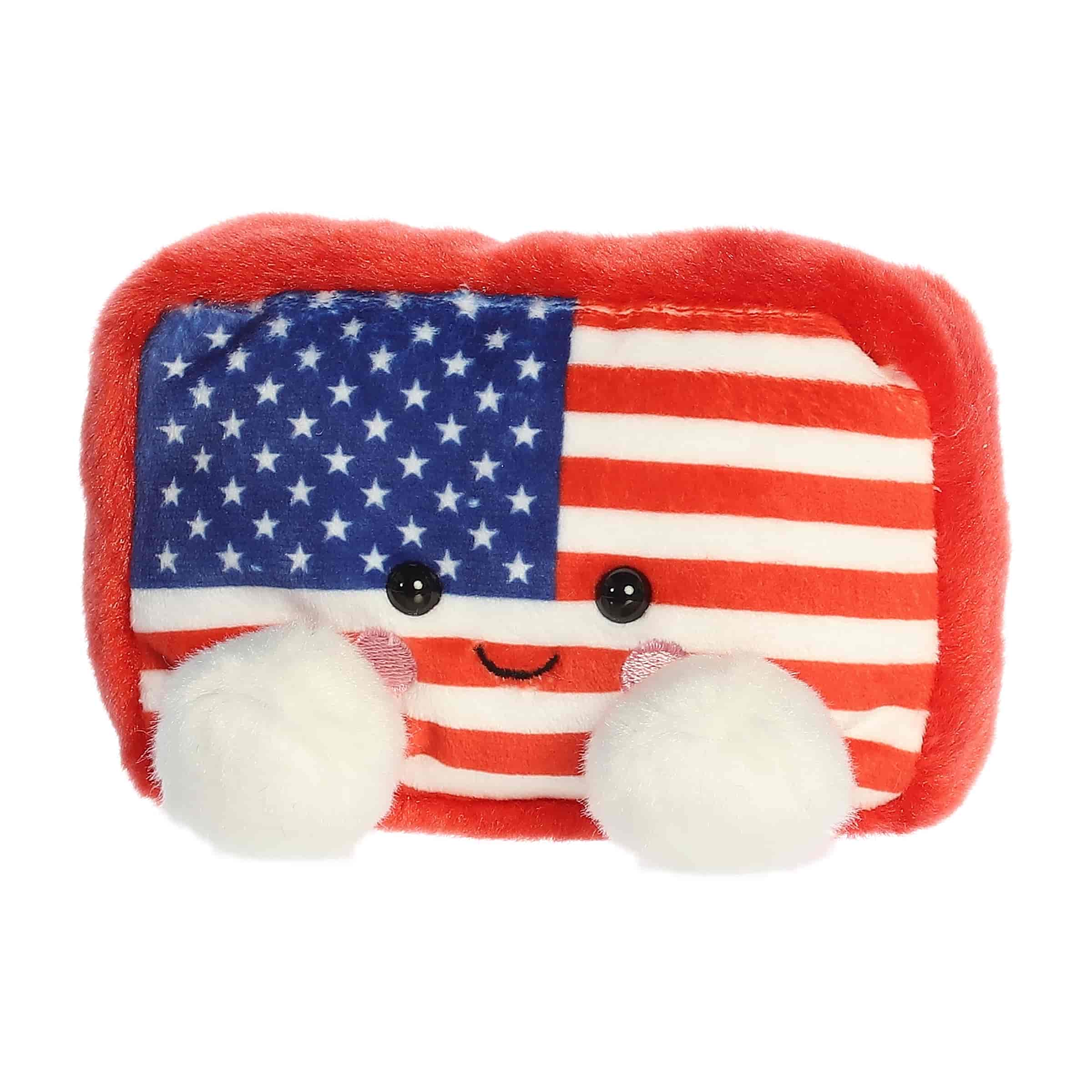 Indivisible Flag™