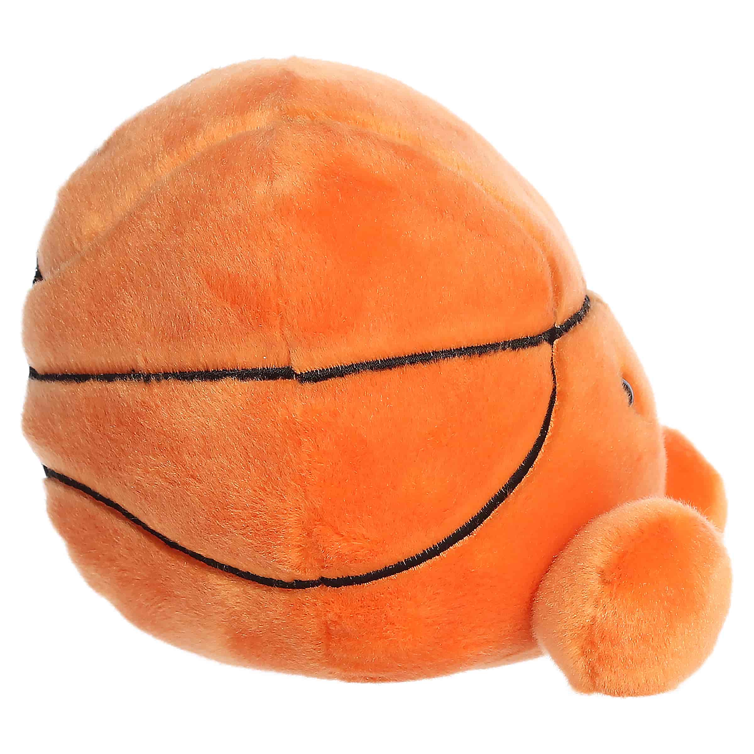 Hoops Basketball™