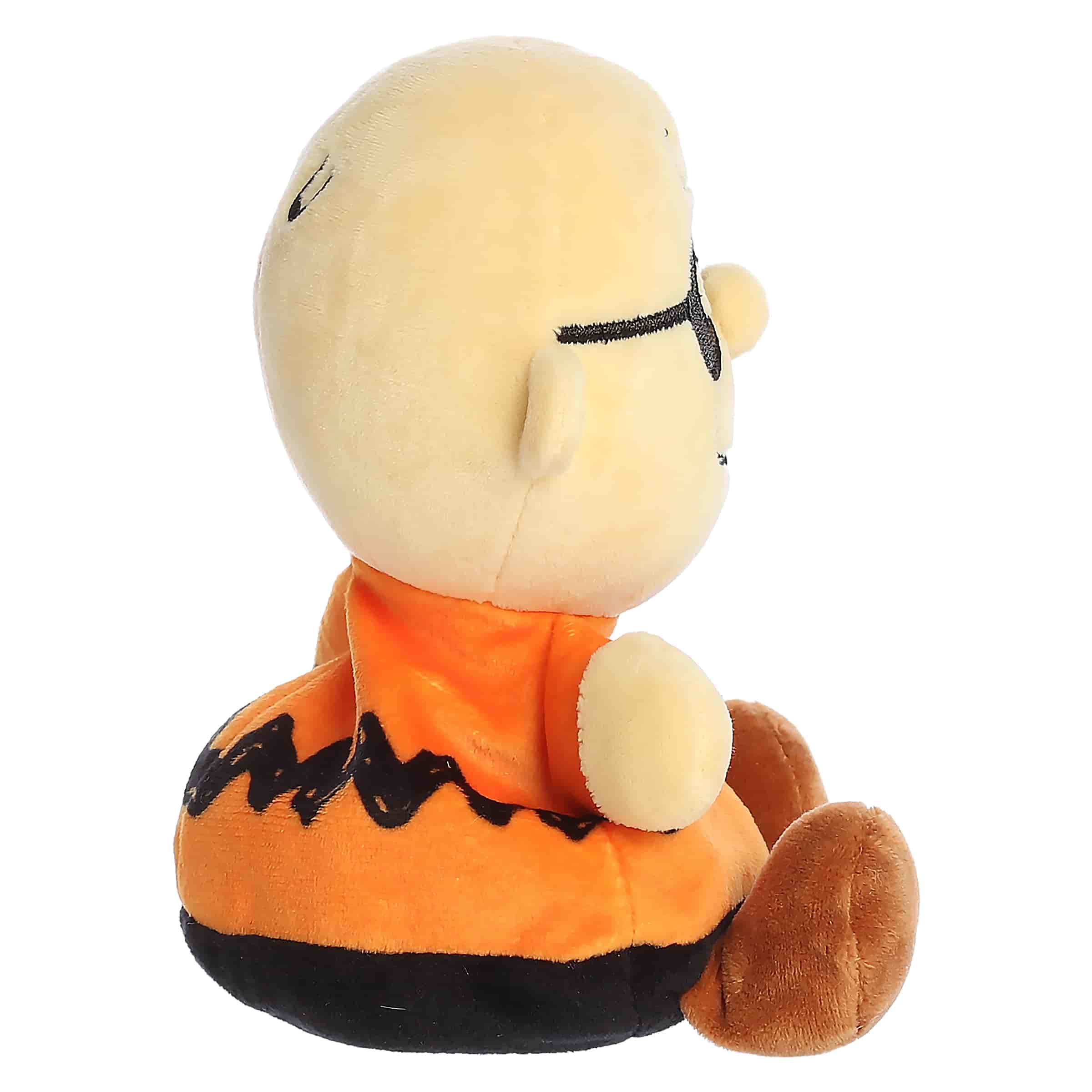 Masked Charlie Brown