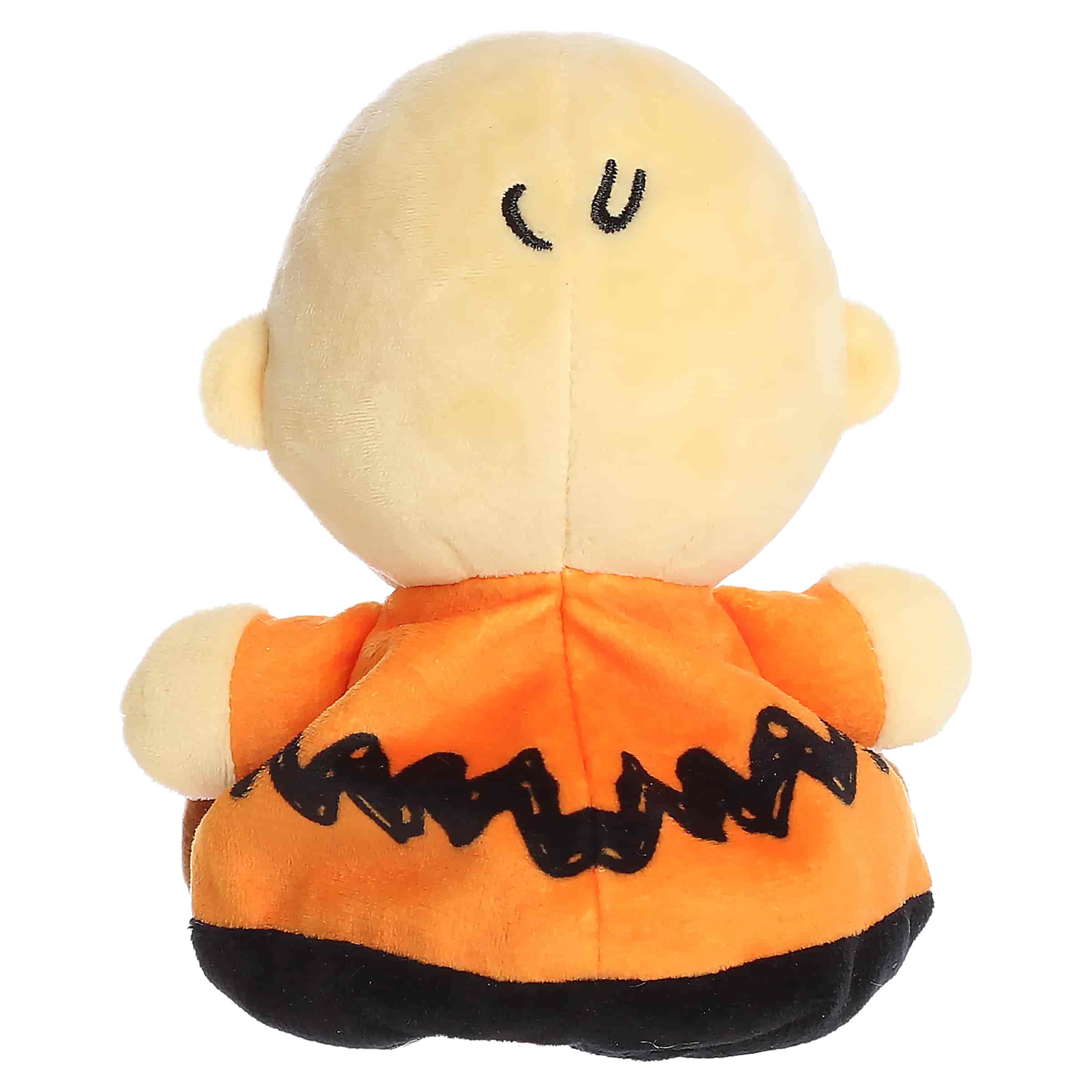 Masked Charlie Brown
