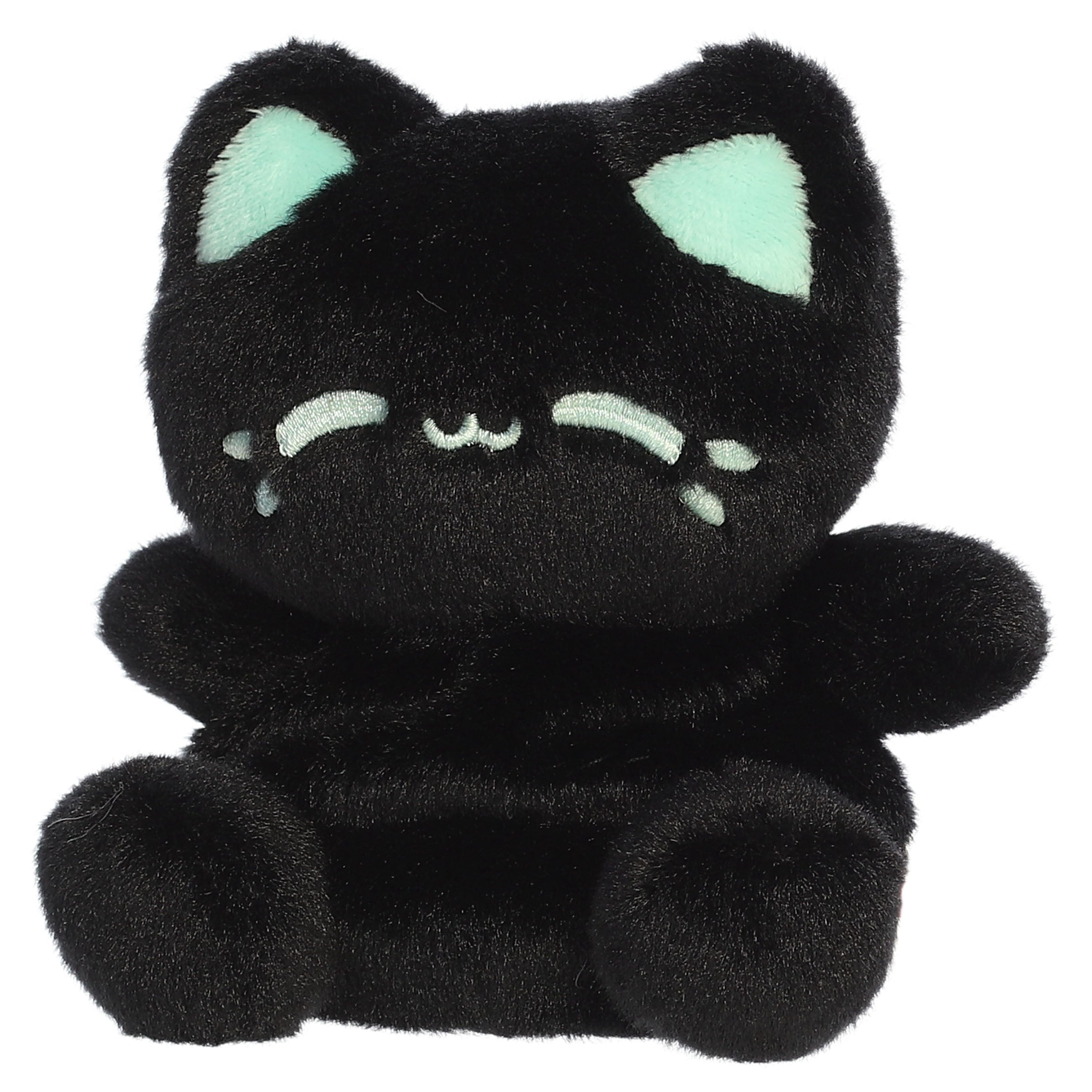 Mint Black Out Meowchi