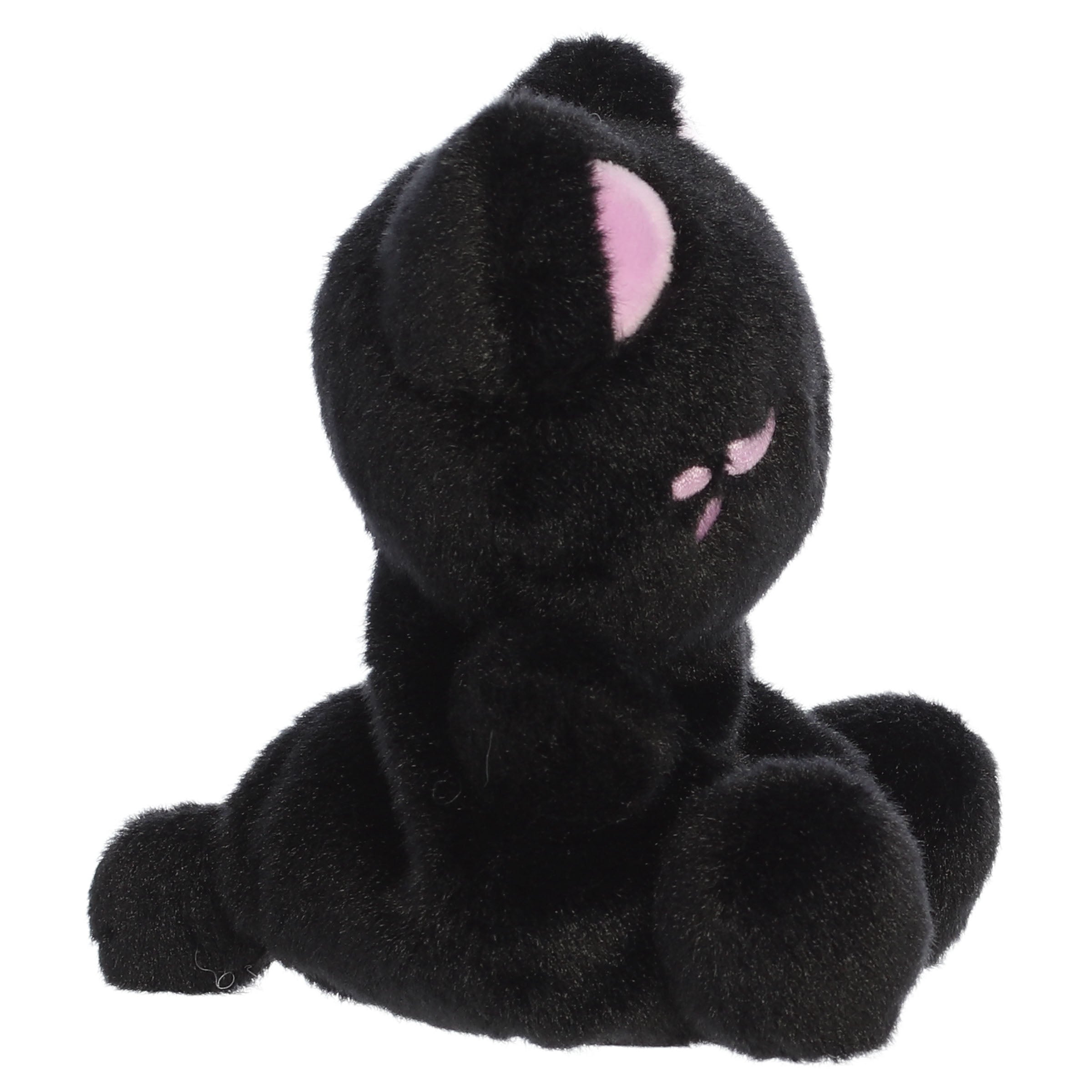 Taro Black Out Meowchi