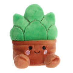 Gigi Succulent™