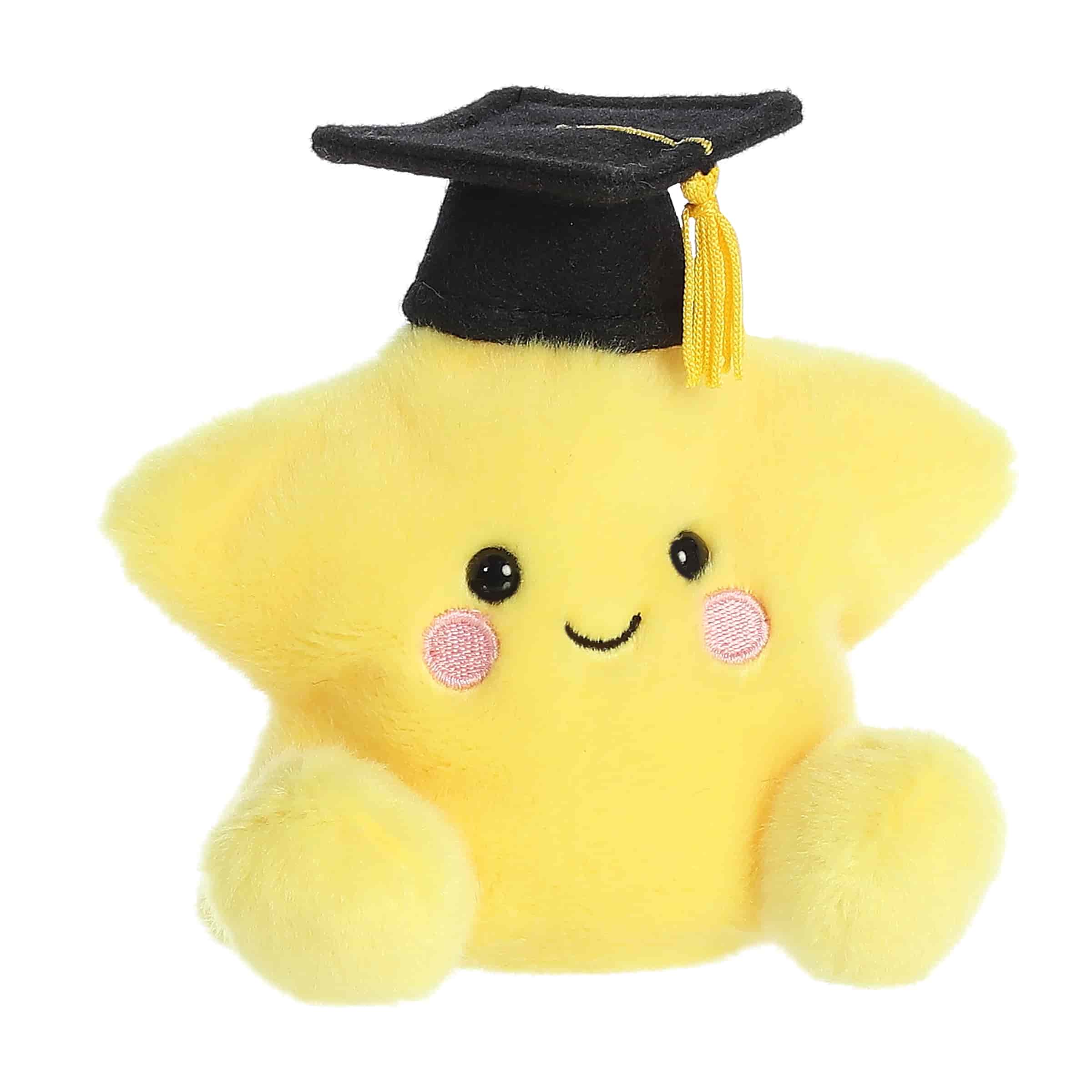 Magna Graduation Star™