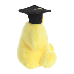 Magna Graduation Star™