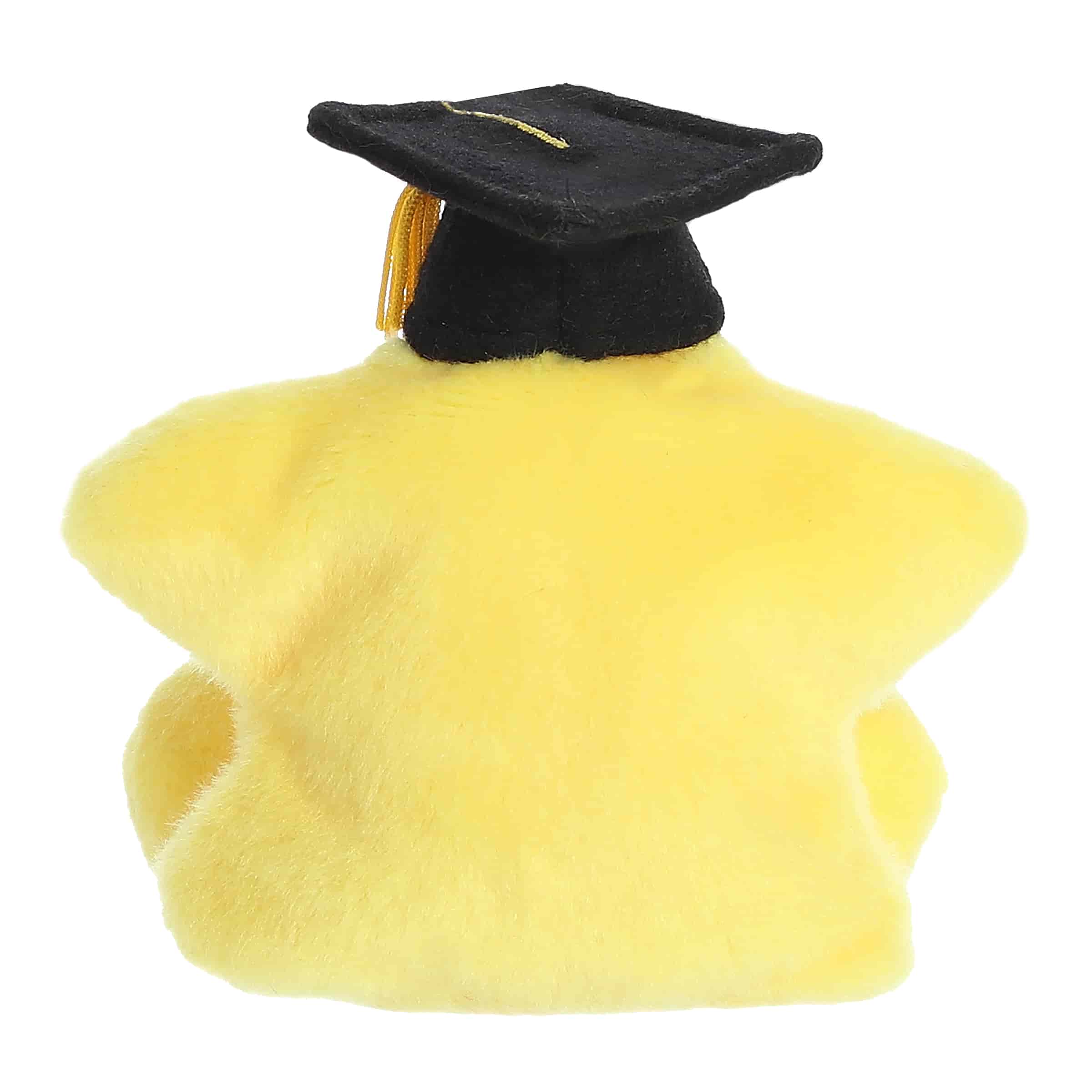 Magna Graduation Star™