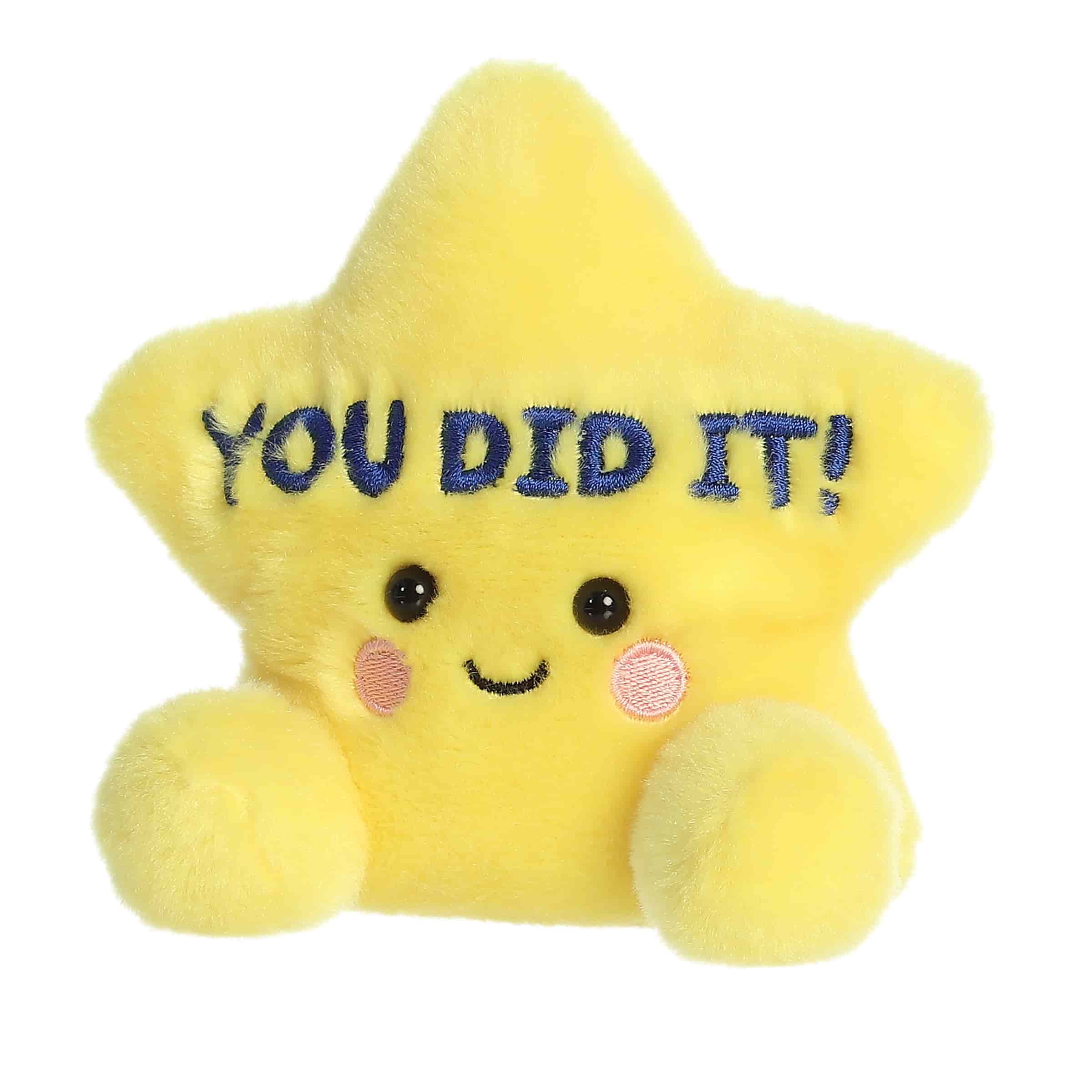 You Did It Star