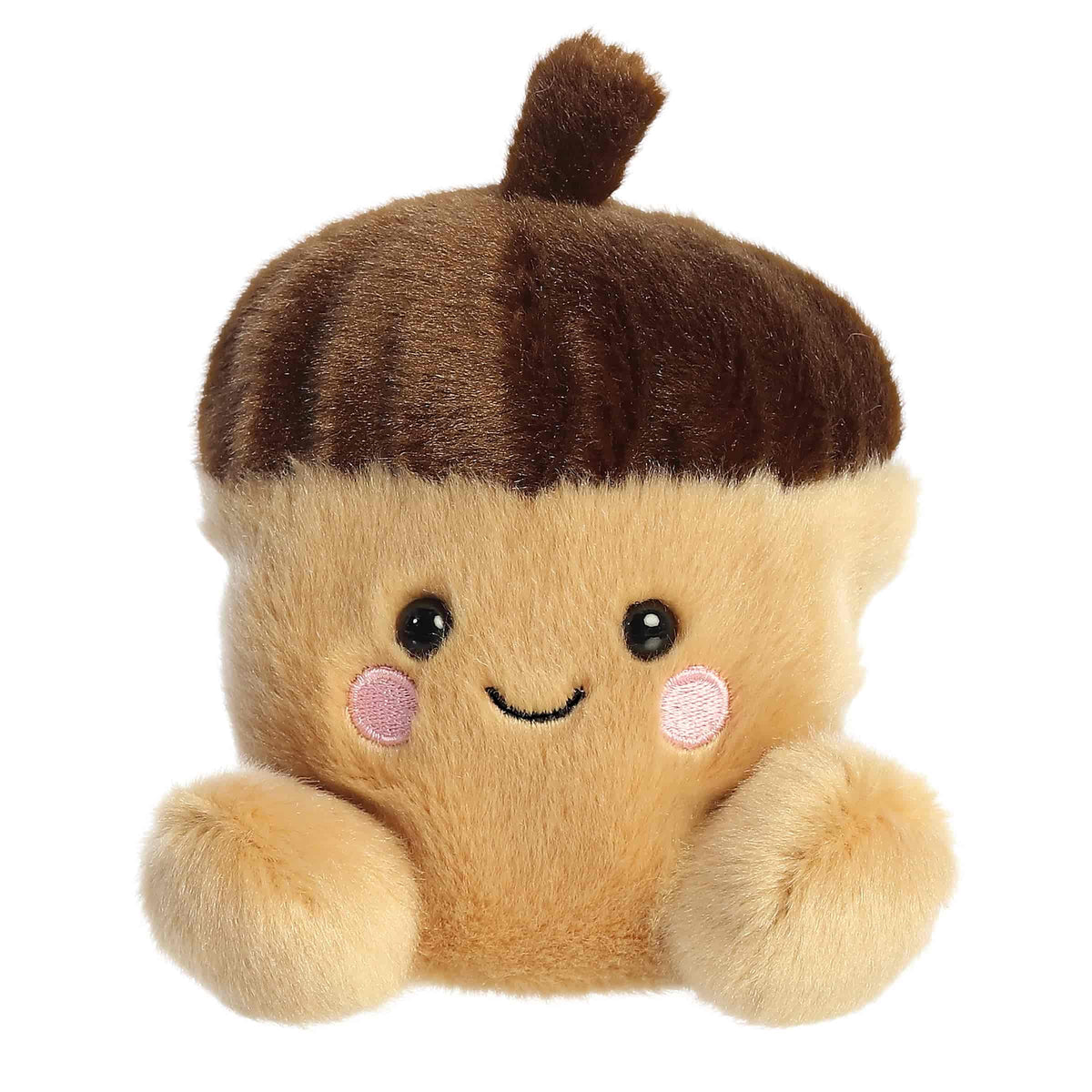 Oak Acorn