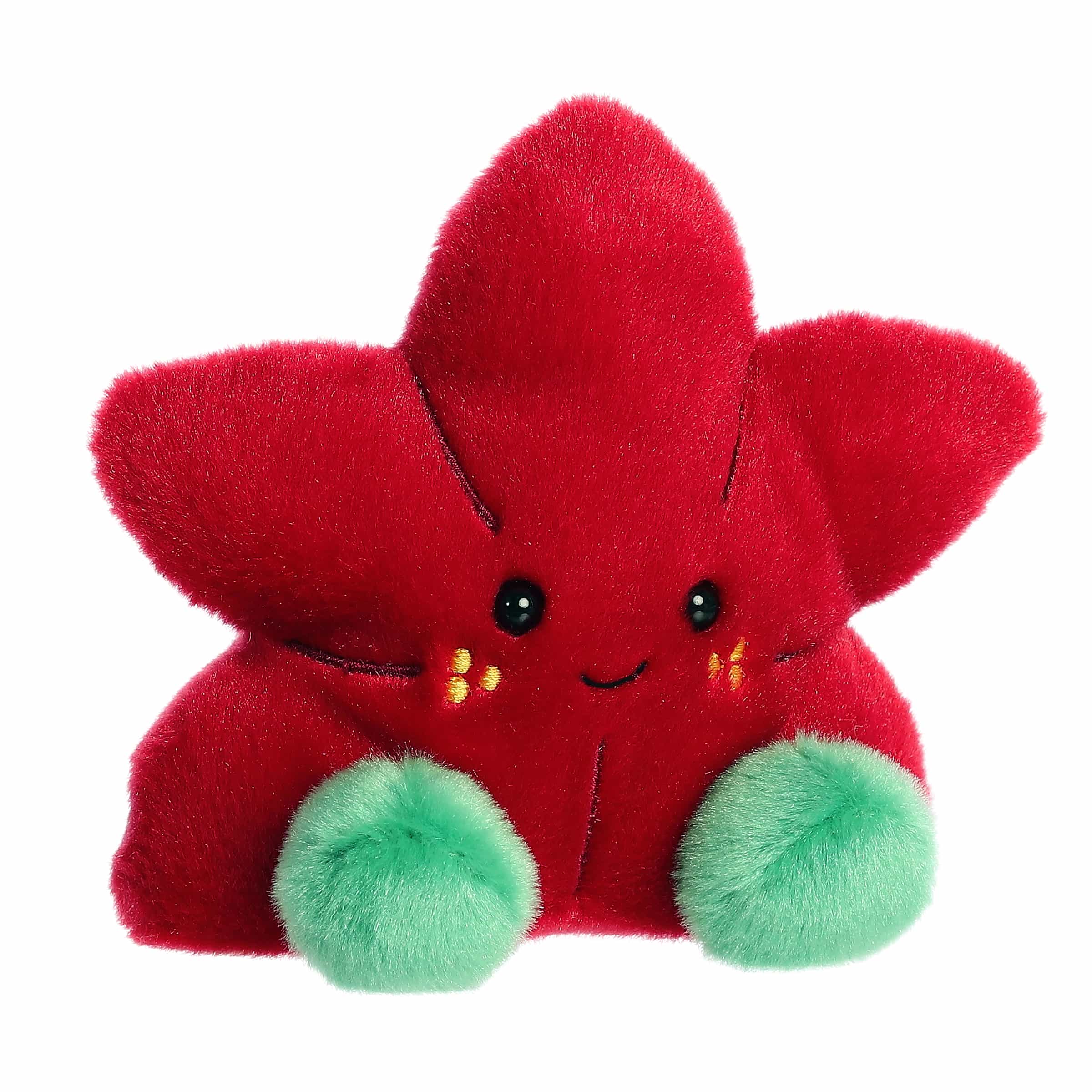 Carmine Poinsettia™