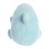 Clicks Dolphin™
