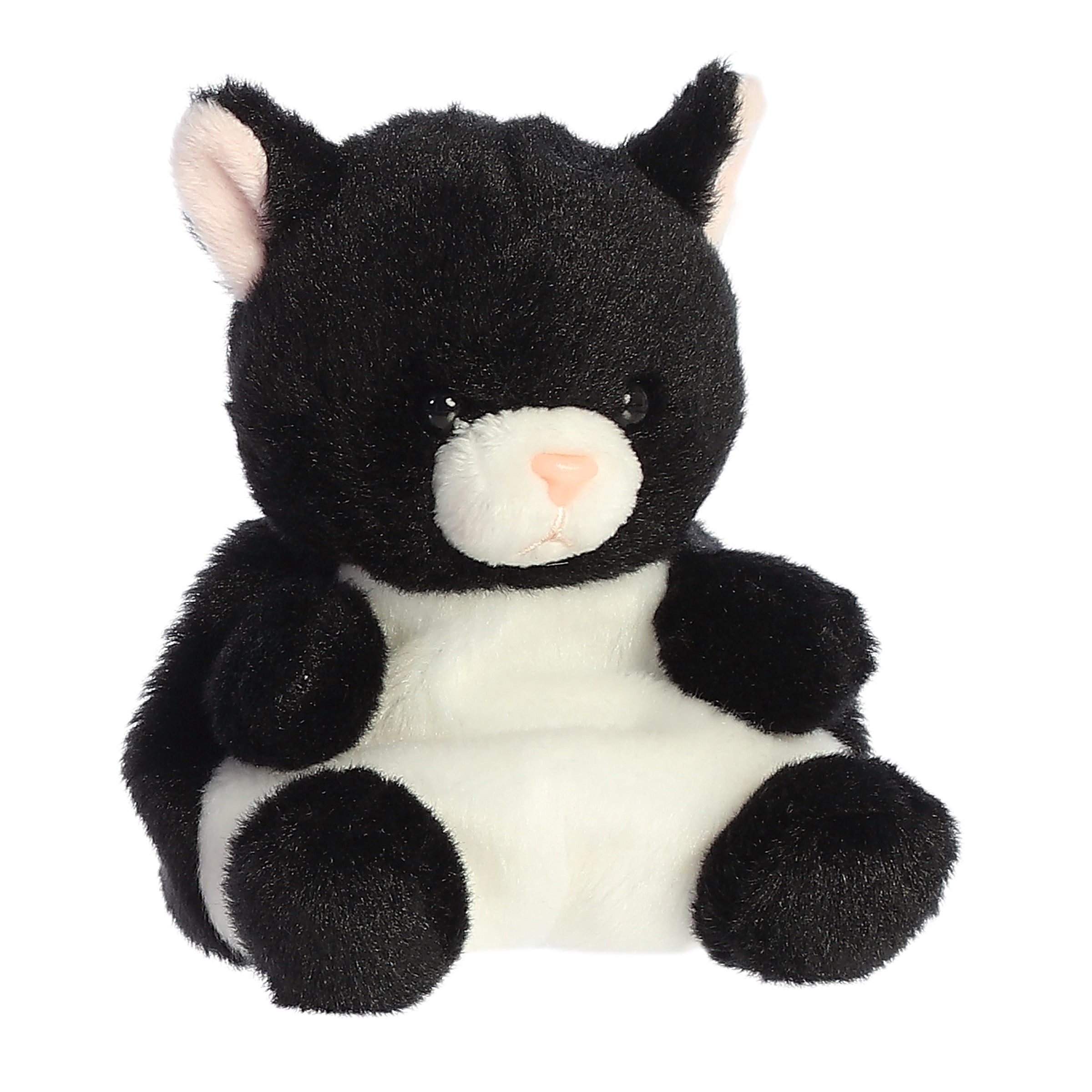 black cat caribbean palms Palm Pals - Curious Cricket Cat