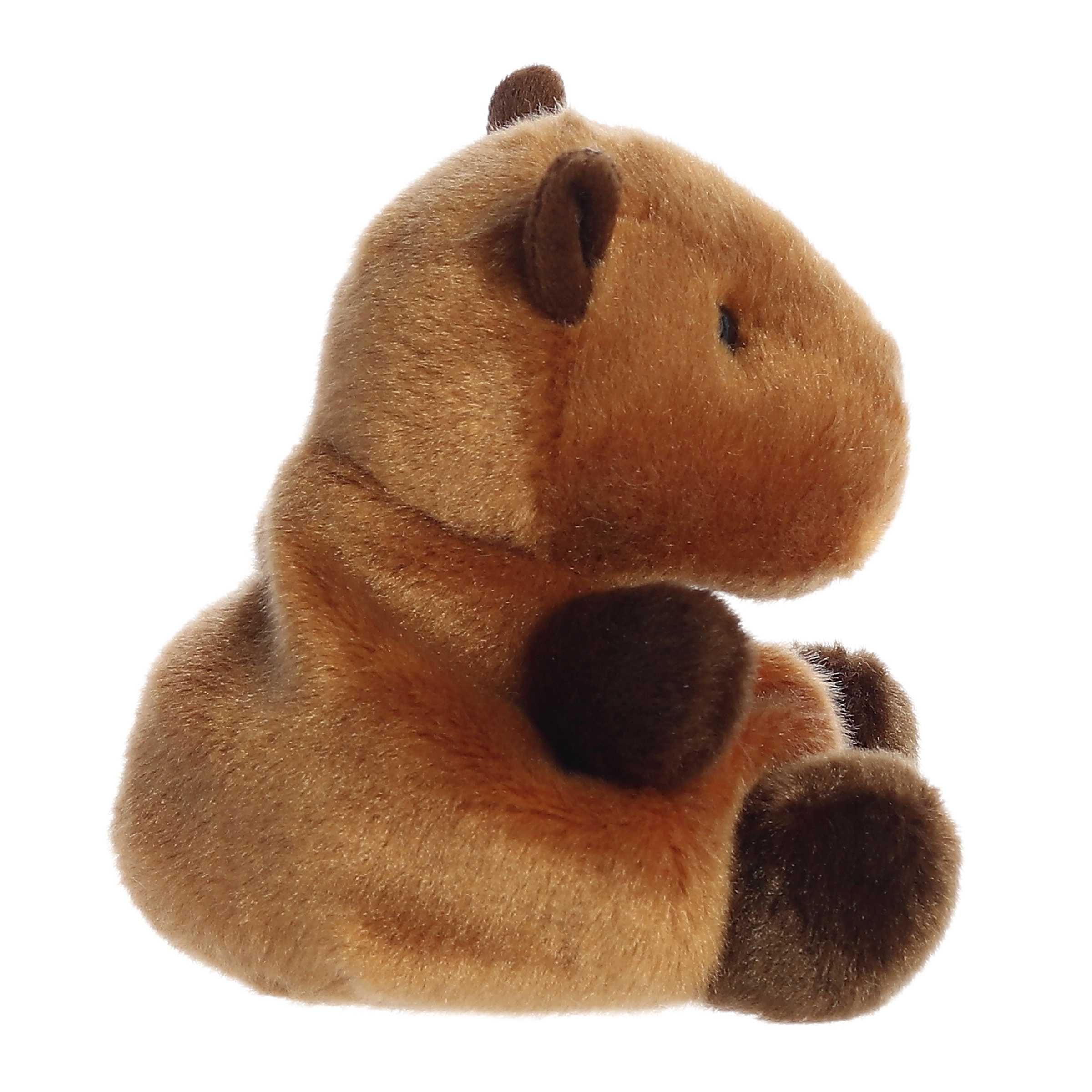 Sid Capybara™