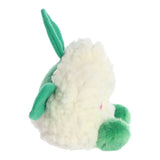 Kelly Cauliflower™