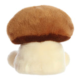 Umami Shiitake Mushroom™