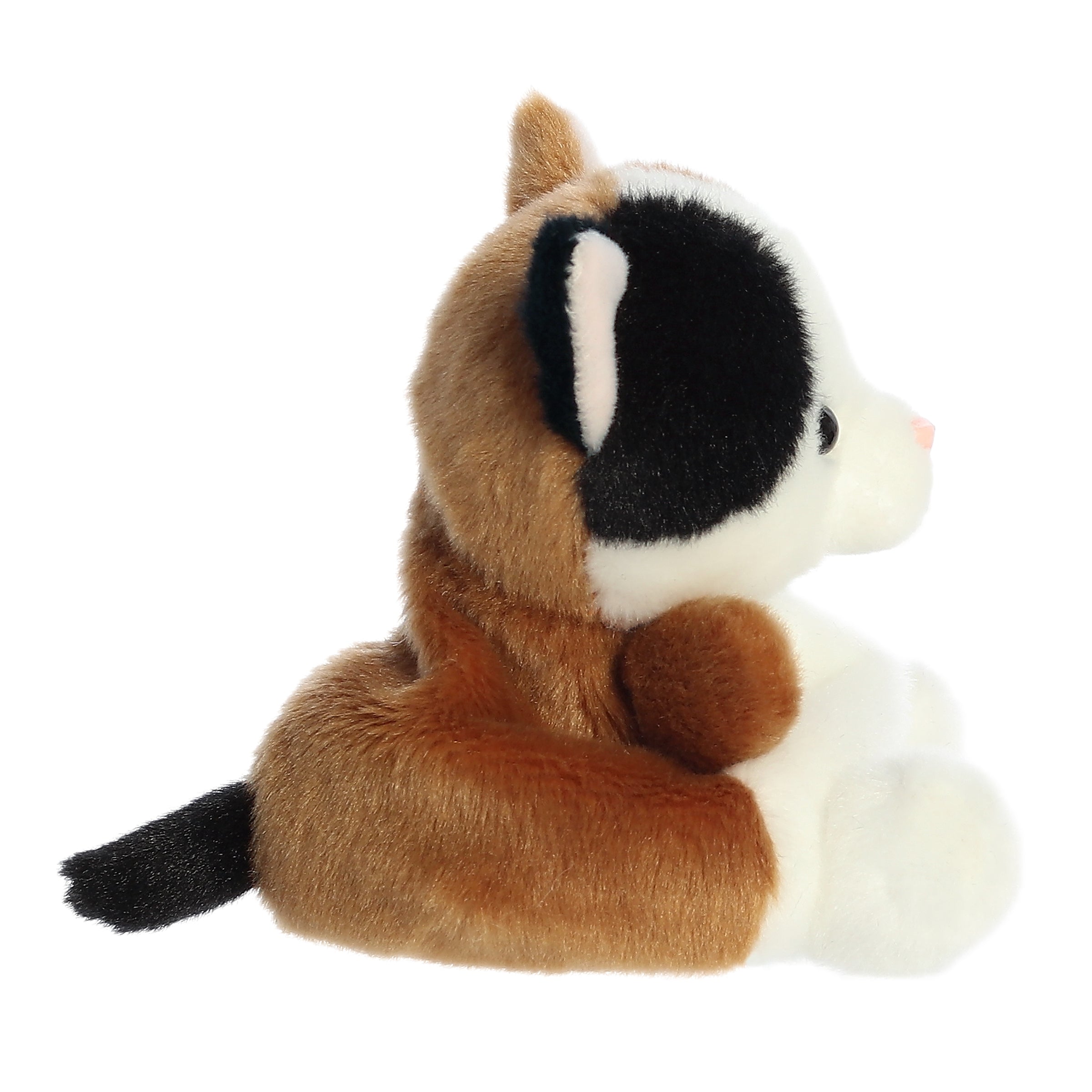 pagaments palma cat Peebs Calico Cat™